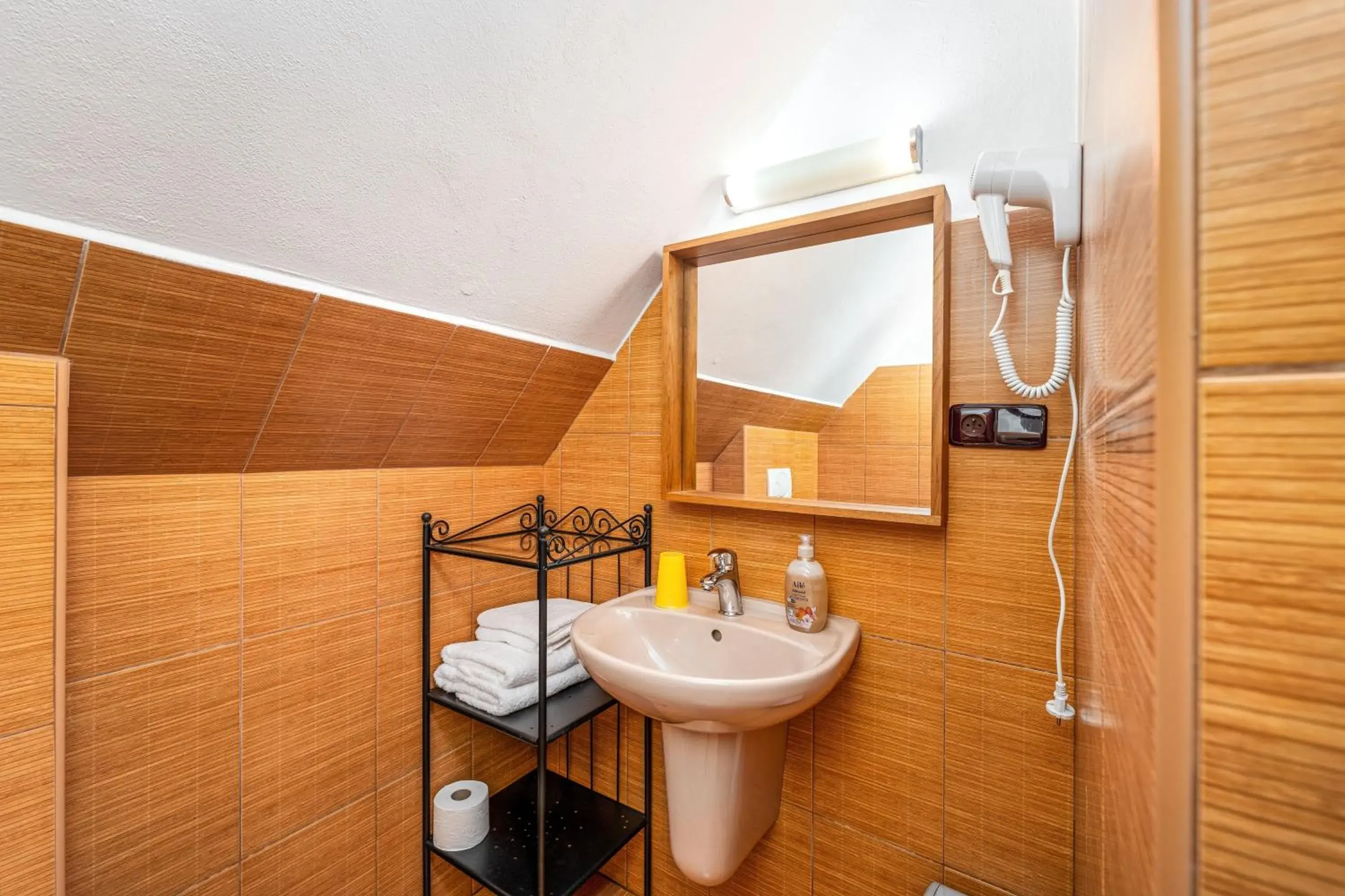 Double Room - single occupancy in Penzion Kříž Double Room - single occupancy in Penzion Kříž