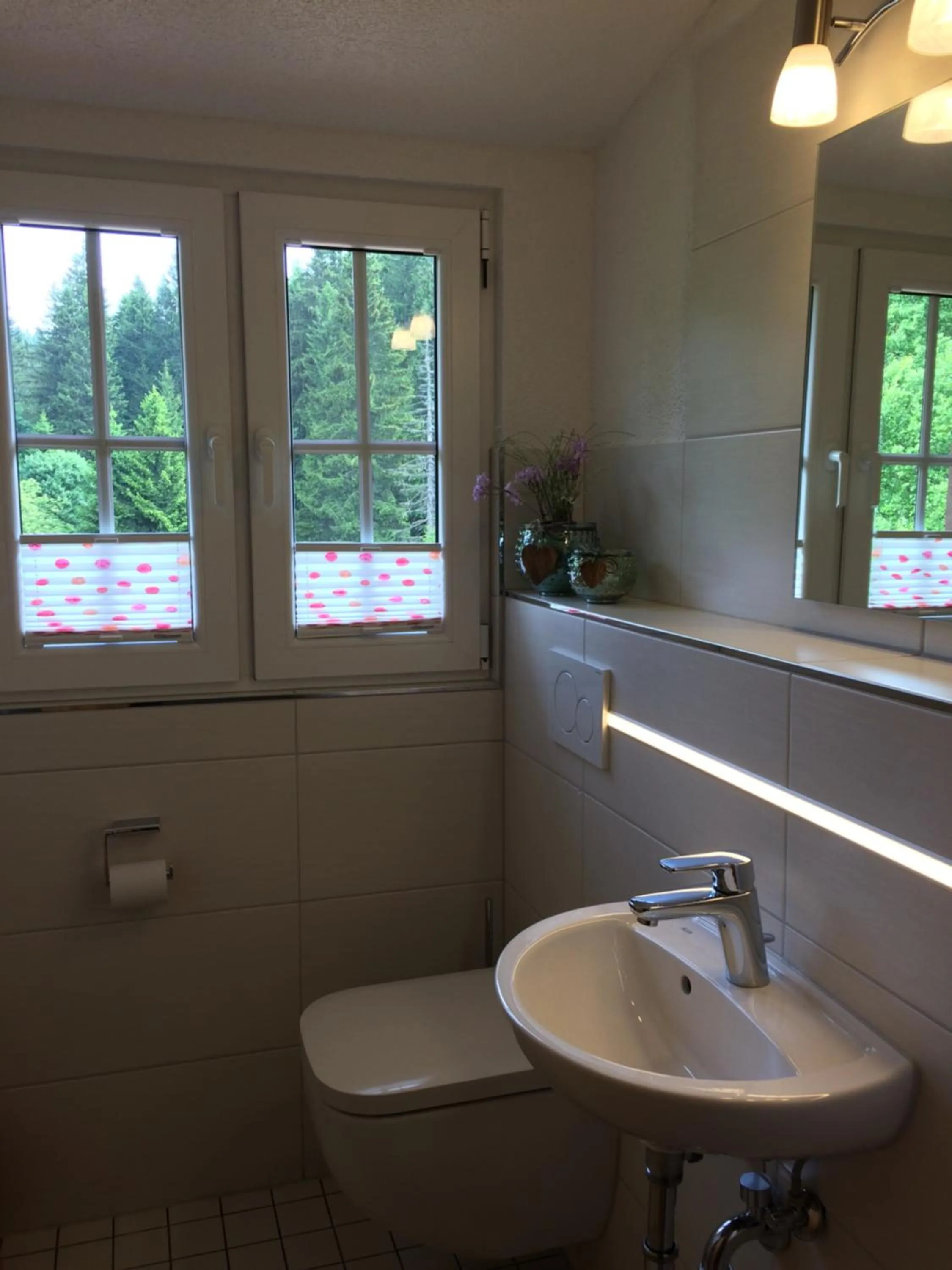 Toilet in Appartements und Ferienhaus Gasthof Kanzlersgrund