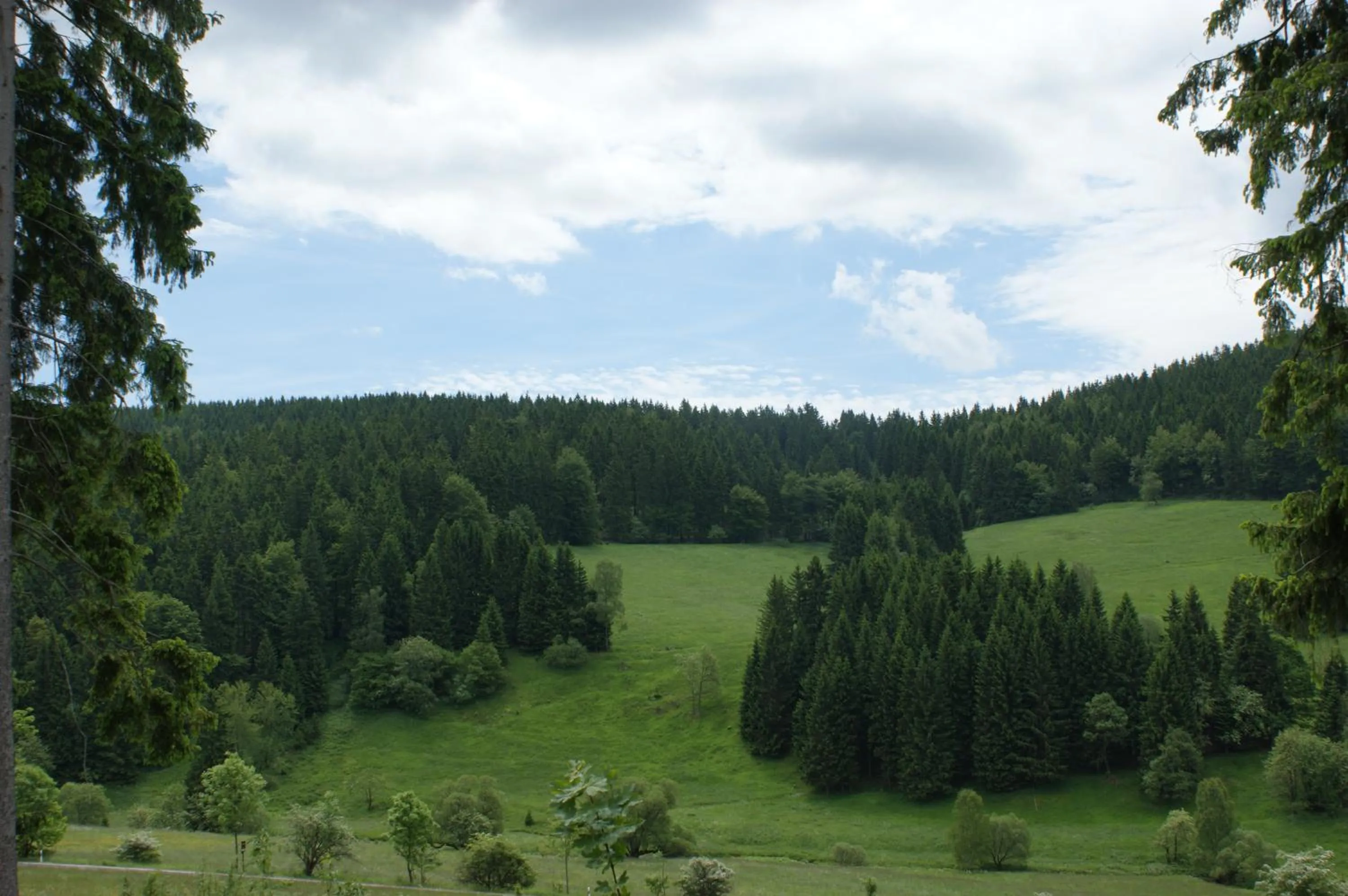 View (from property/room) in Appartements und Ferienhaus Gasthof Kanzlersgrund