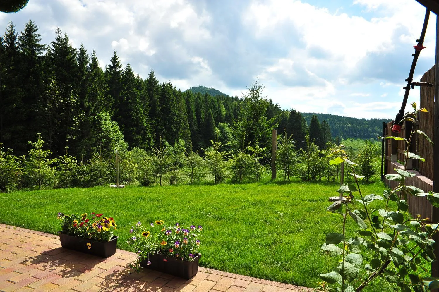 Garden in Appartements und Ferienhaus Gasthof Kanzlersgrund