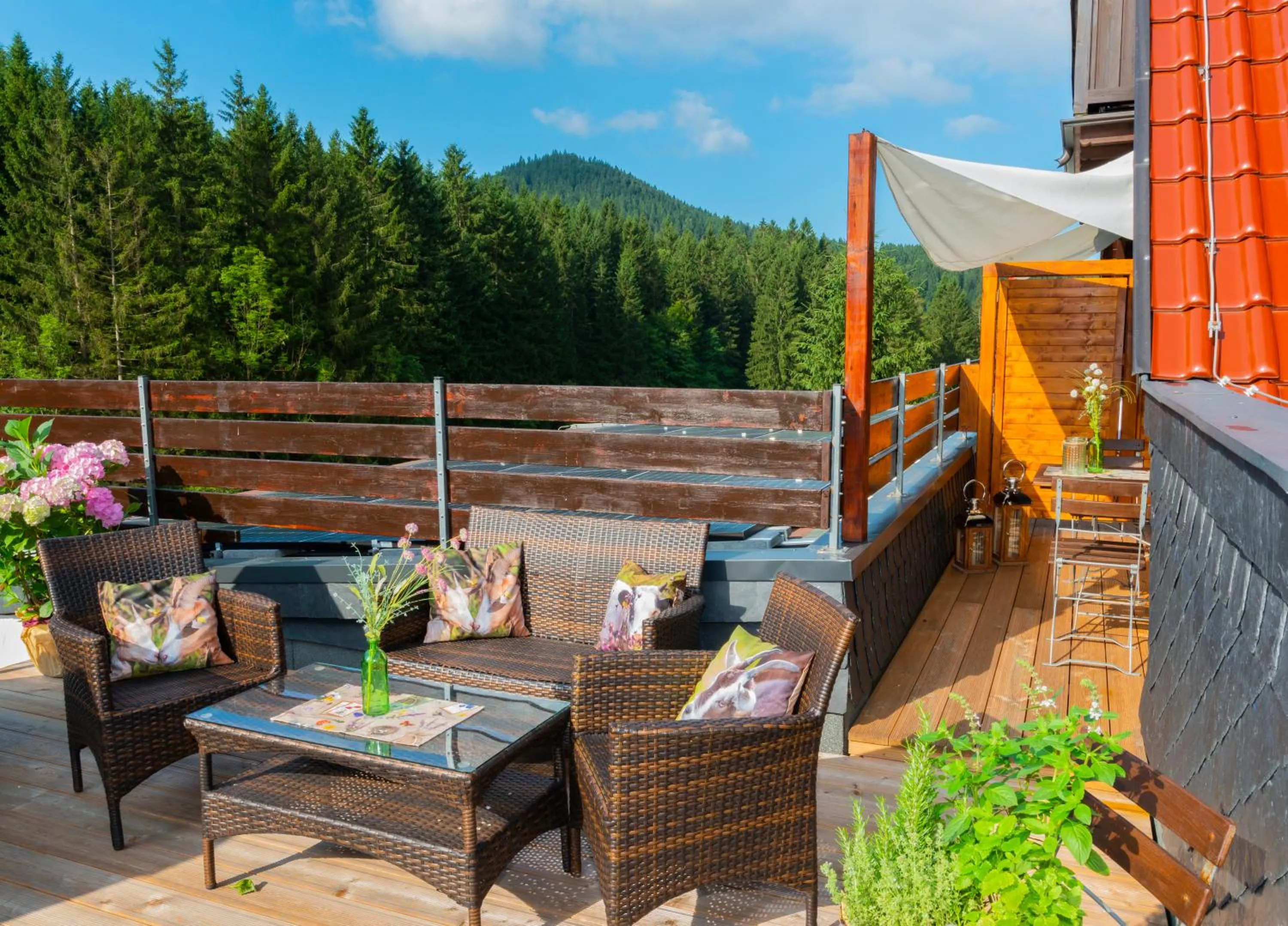 Appartements und Ferienhaus Gasthof Kanzlersgrund