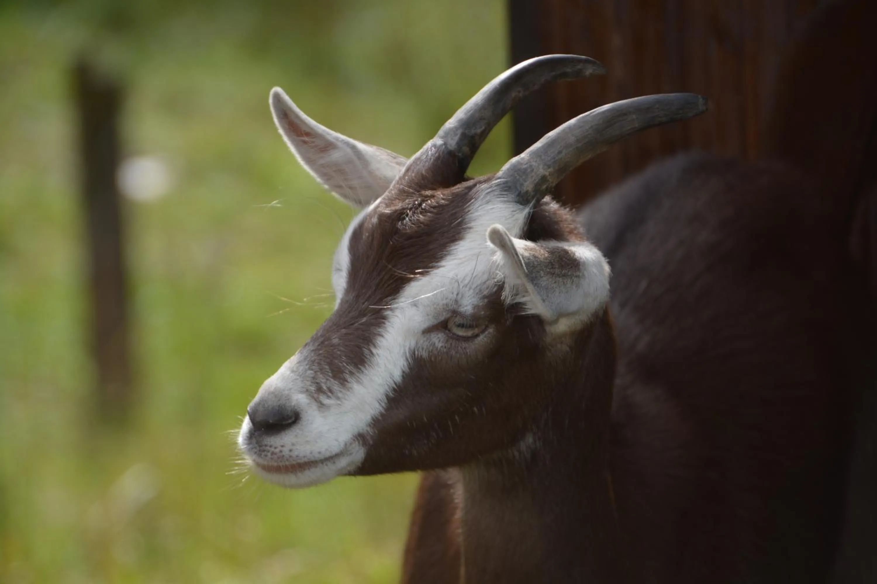Appartements und Ferienhaus Gasthof Kanzlersgrund