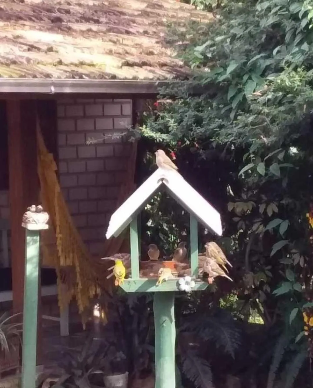 Day in Pousada Refúgio dos Pássaros