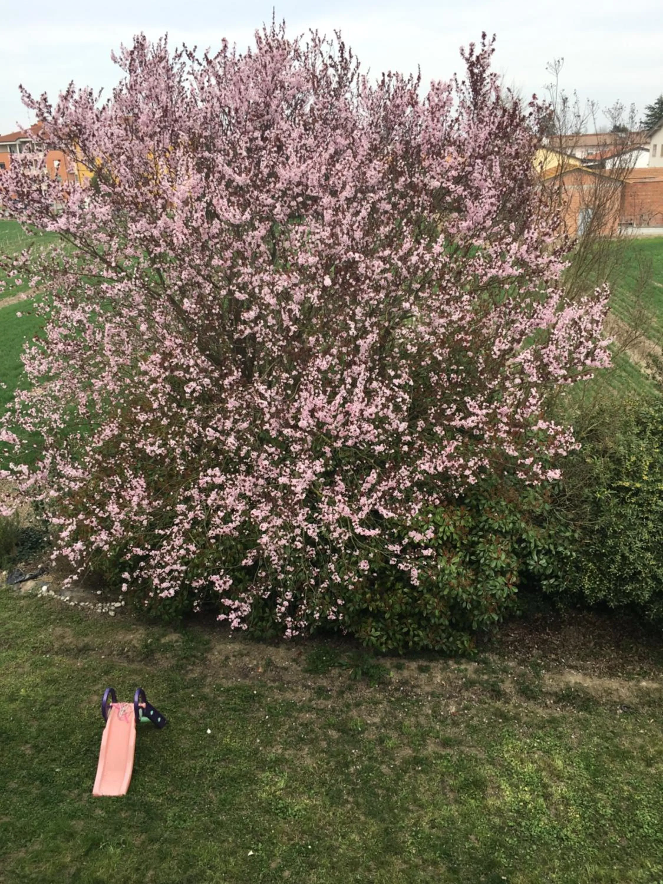 Bed in B&B La Casa di Klida