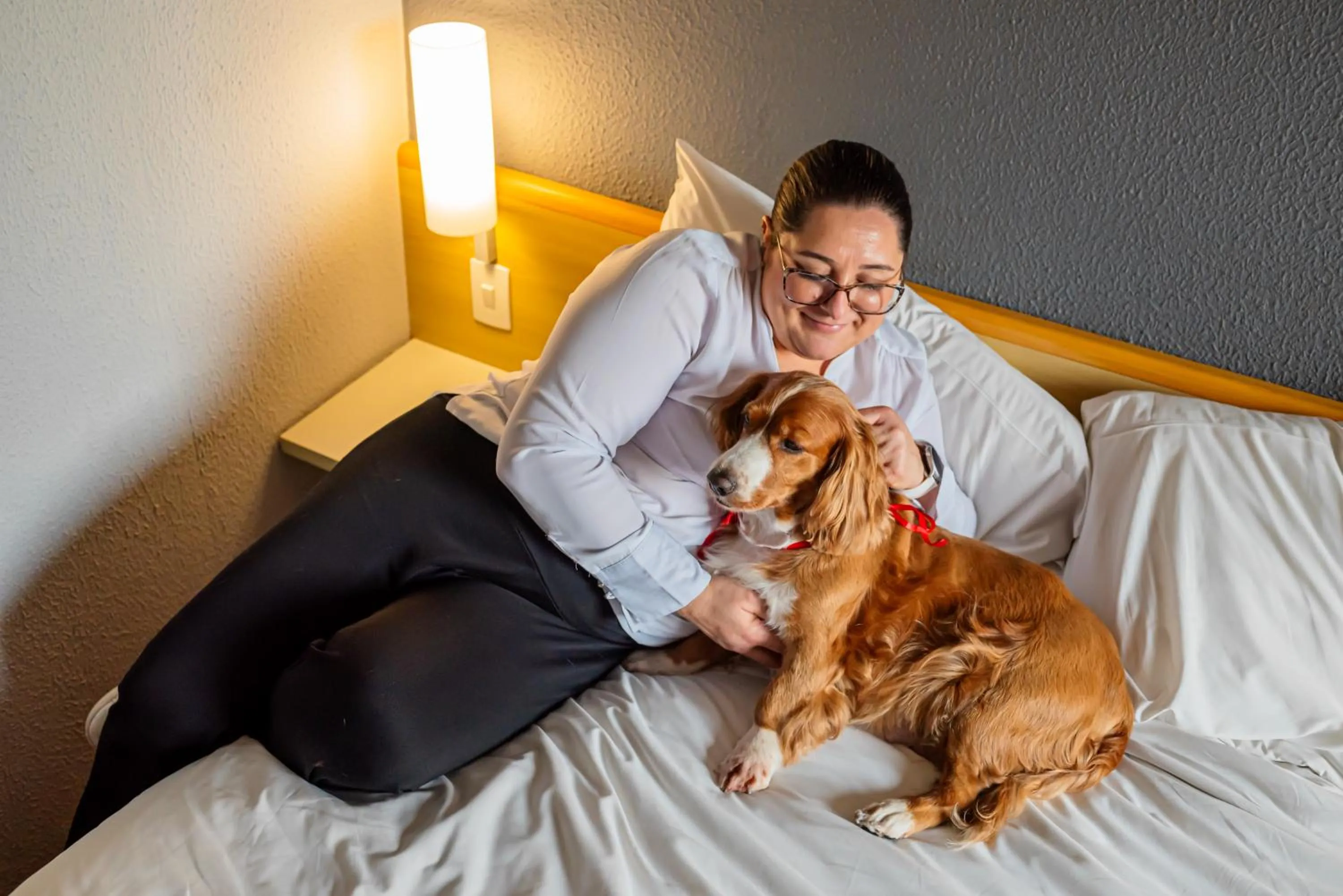 Bed in ibis Santo Andre