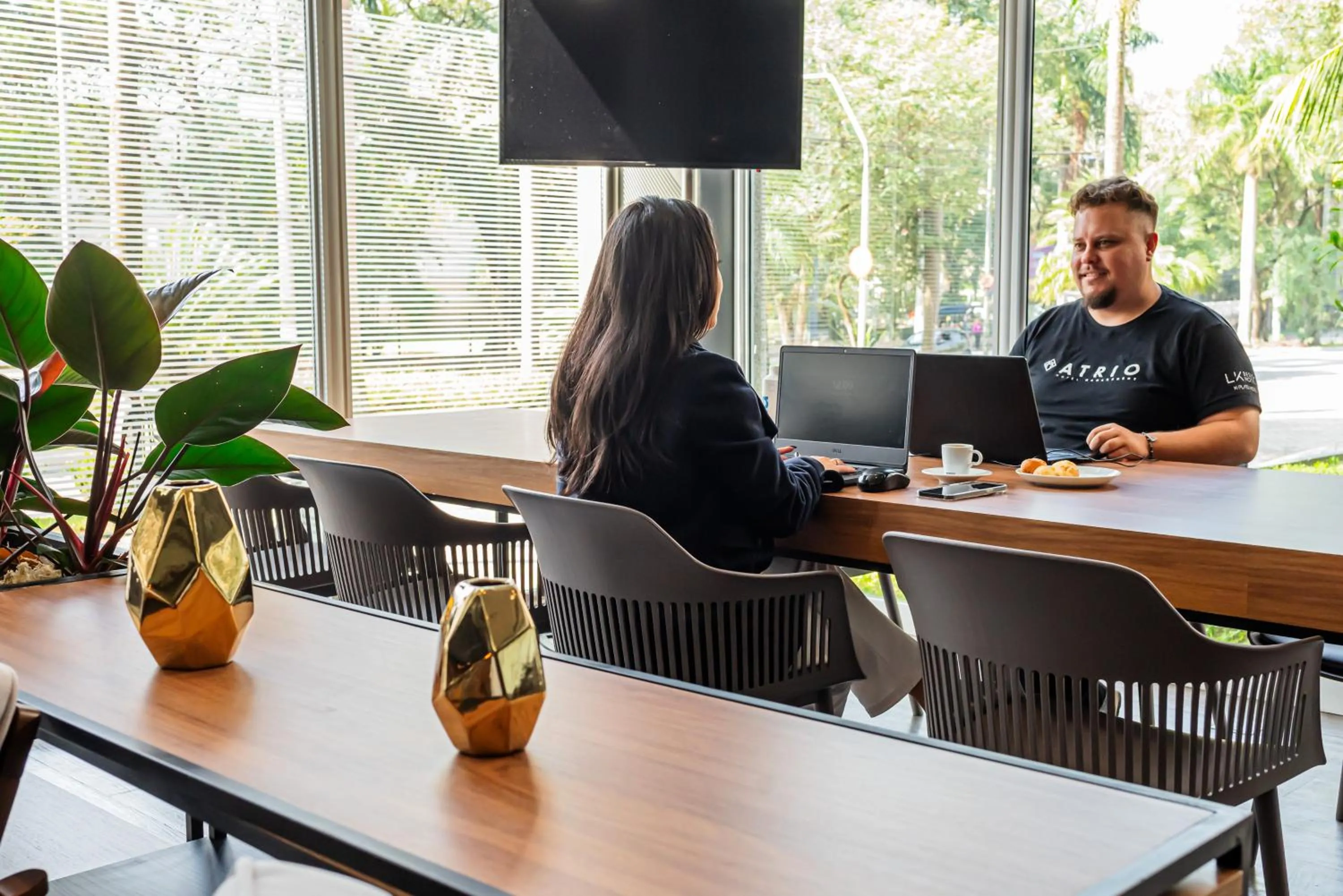 Business facilities in ibis Santo Andre