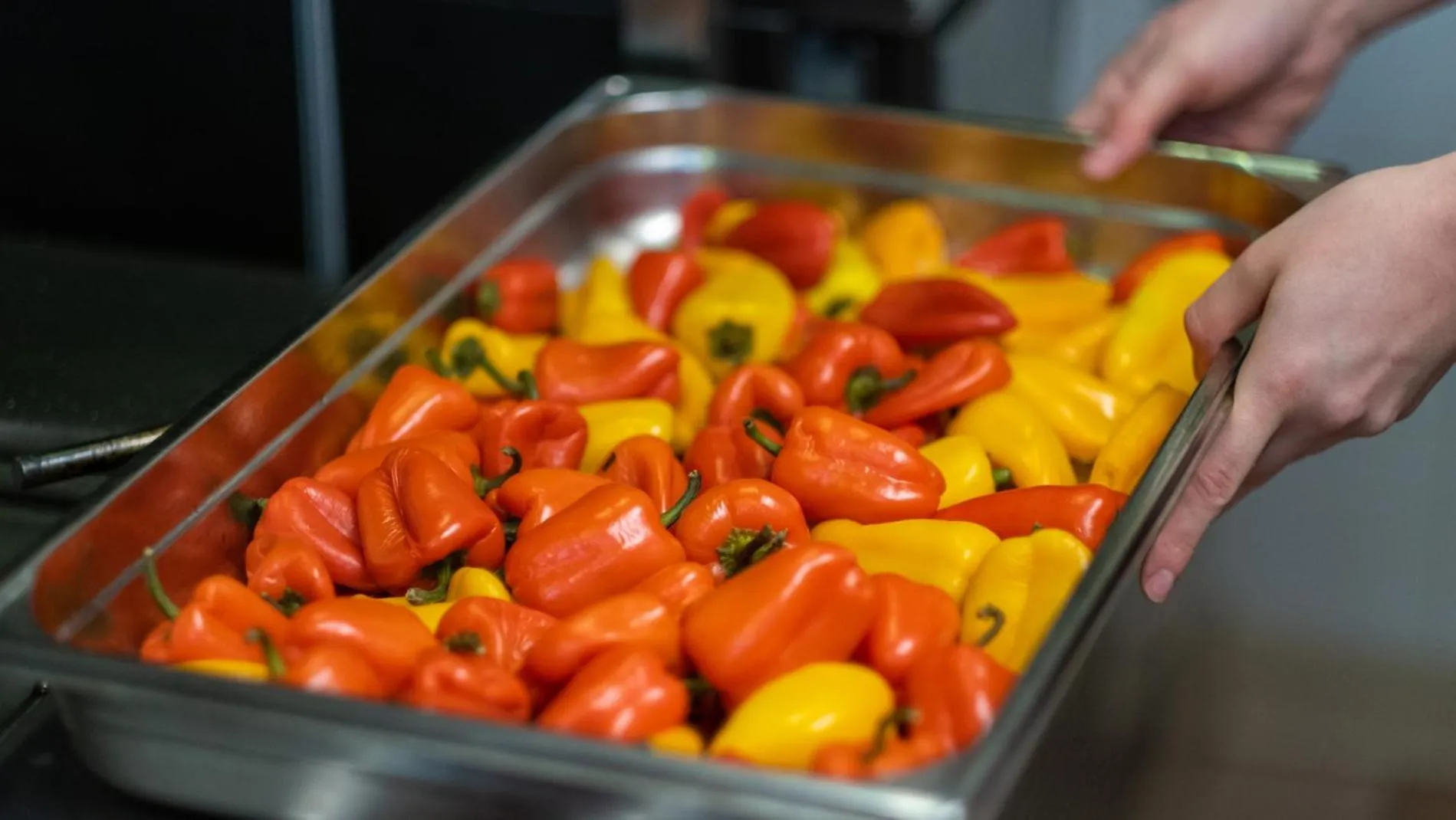 Logis - Hotel Restaurant La Sapinière