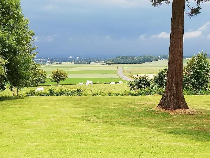 Logis - Hotel Restaurant La Sapinière