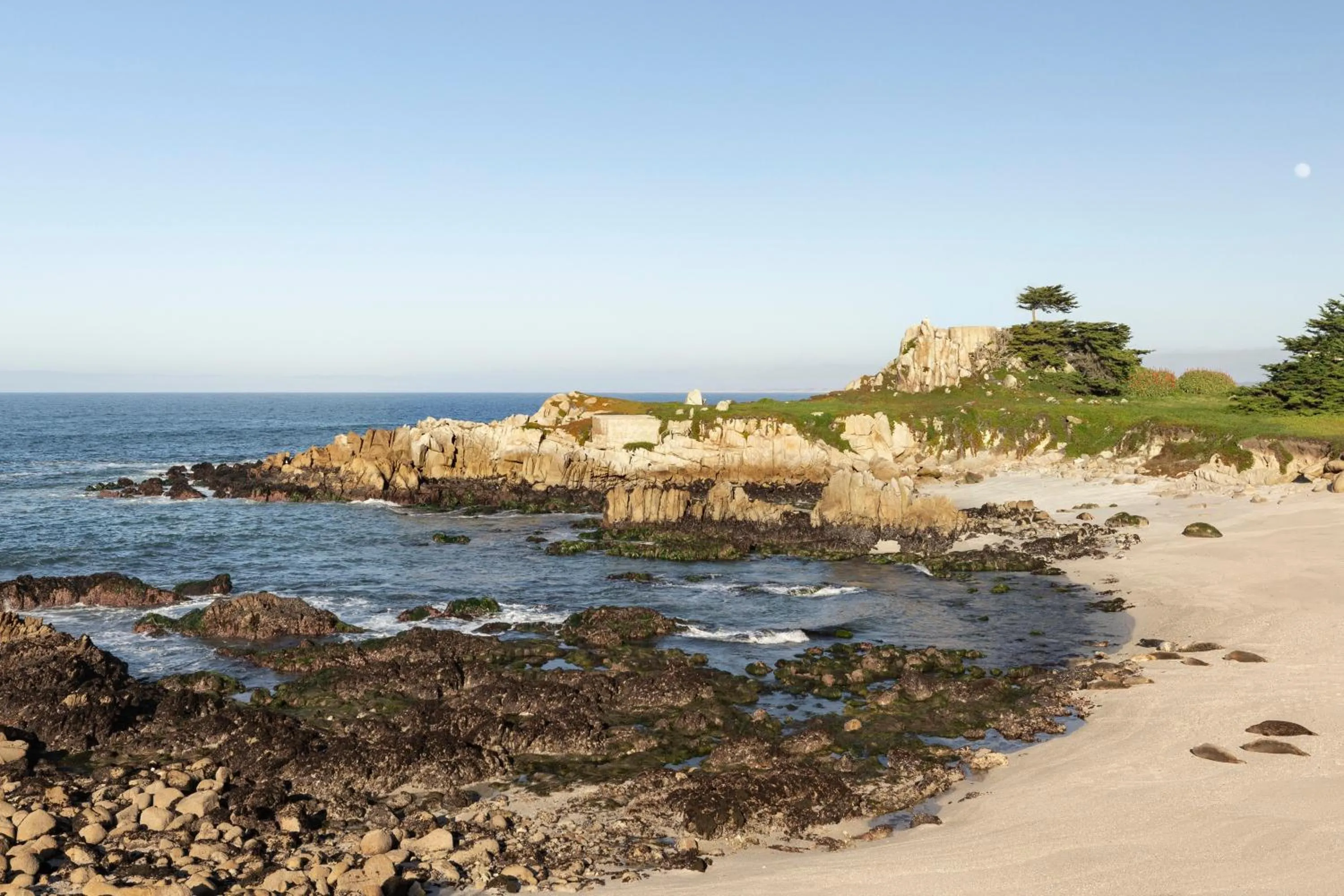 Nearby landmark in InterContinental The Clement Monterey by IHG