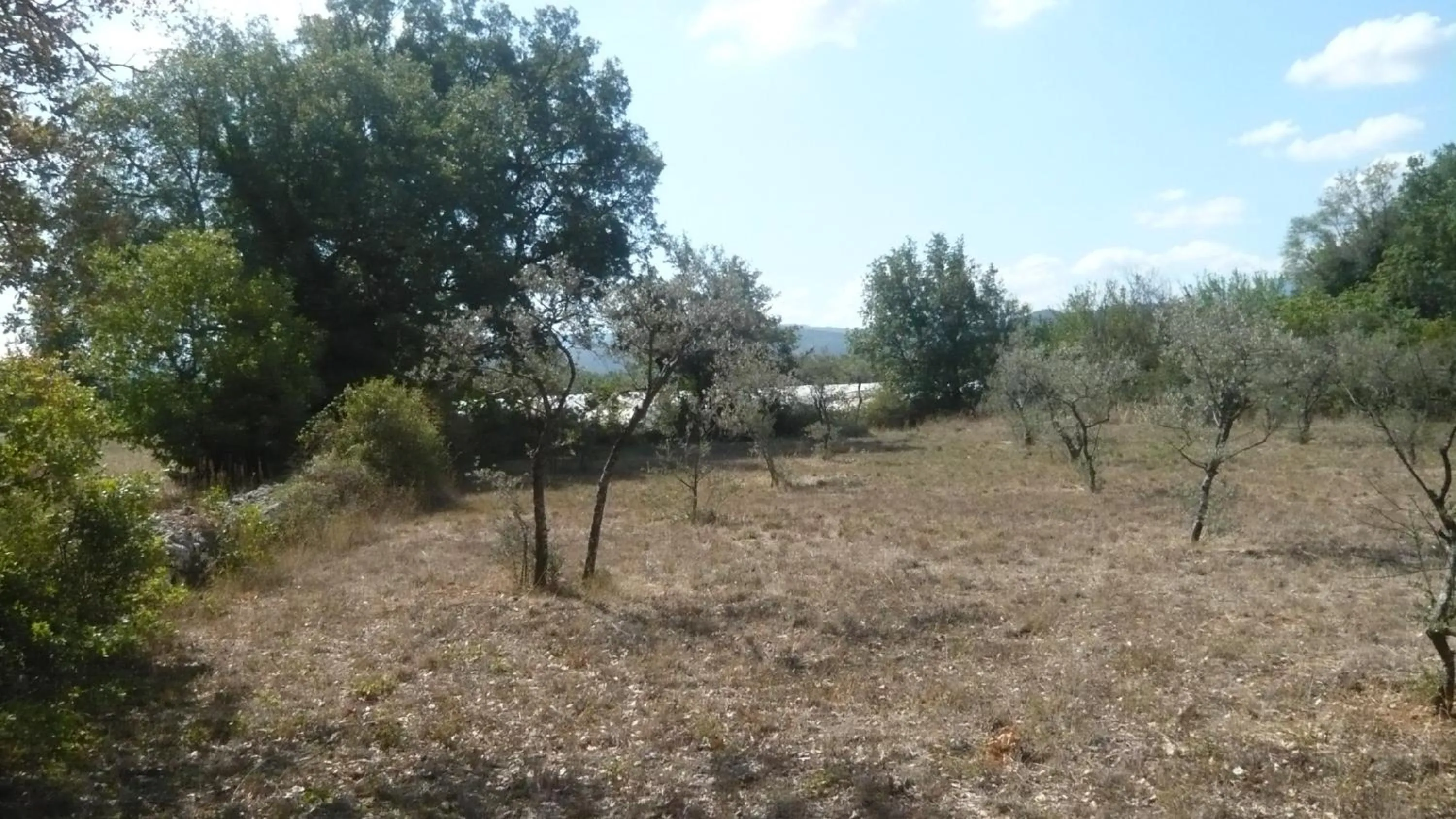 Garden view in Chambres d'hôtes, B&B climatisées LA BORRELLIENNE