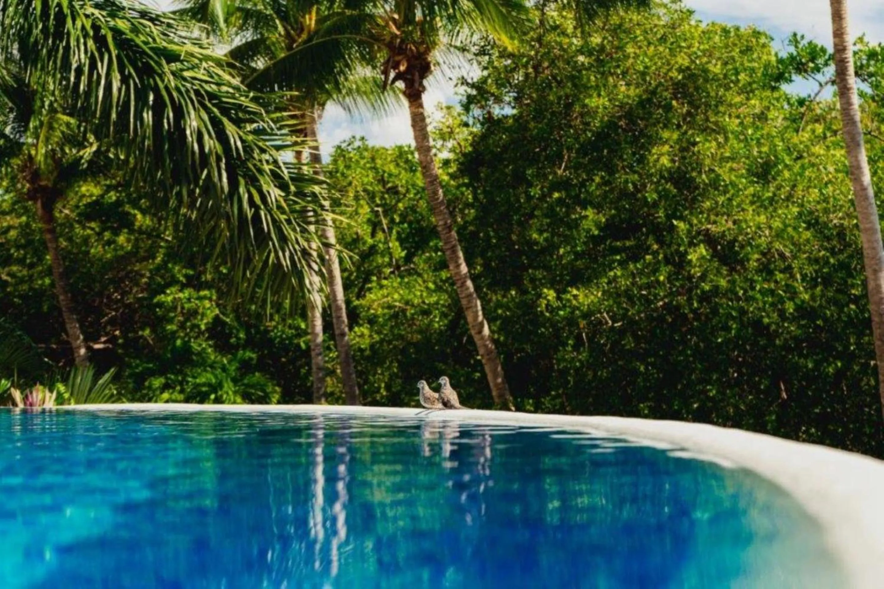Swimming pool in Quinta Real Huatulco