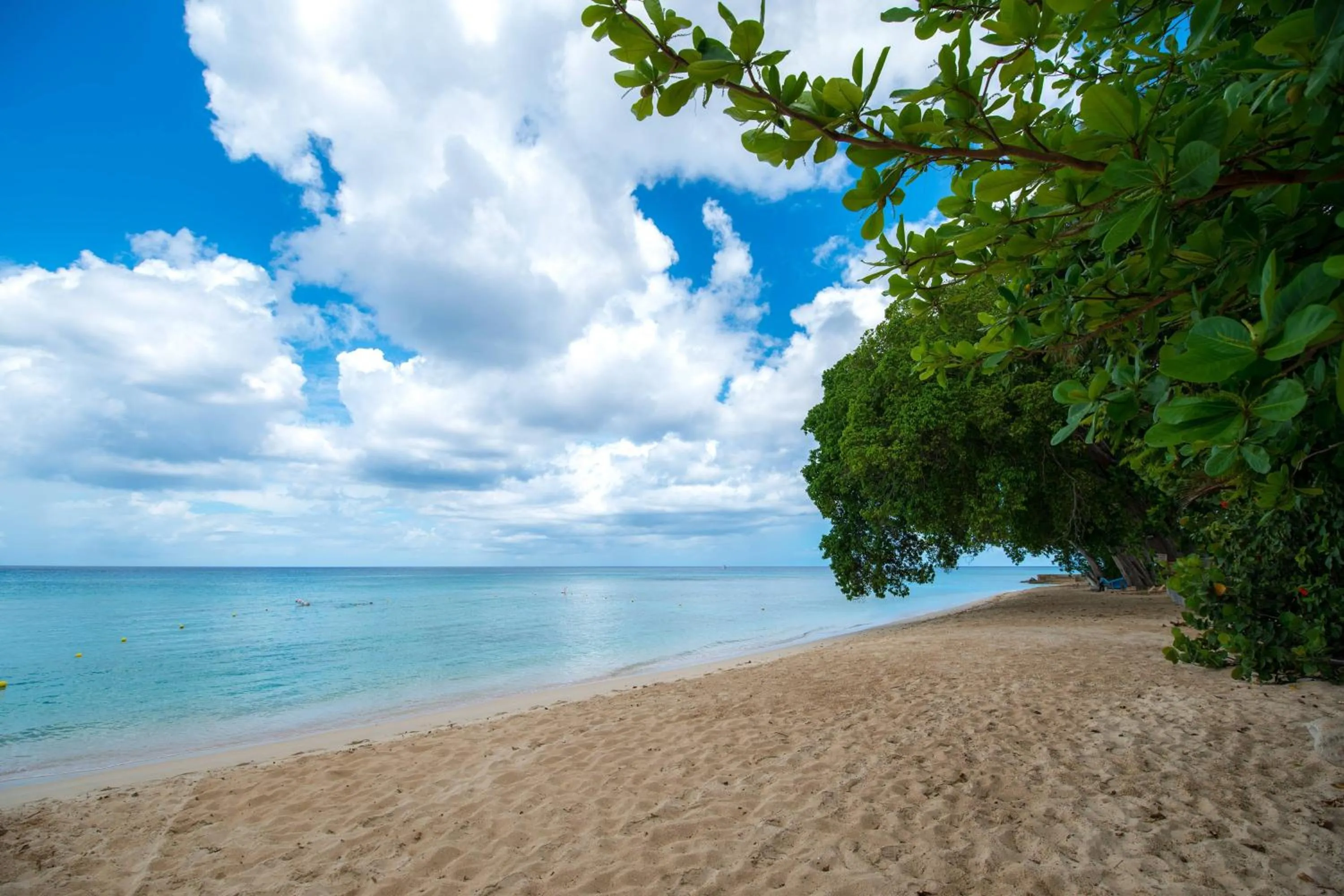 Beach in Waves Resort & Spa, Barbados, An Autograph Collection All-Inclusive Resort