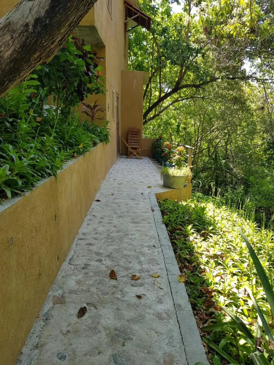 Natural landscape in El Eden Bungalows