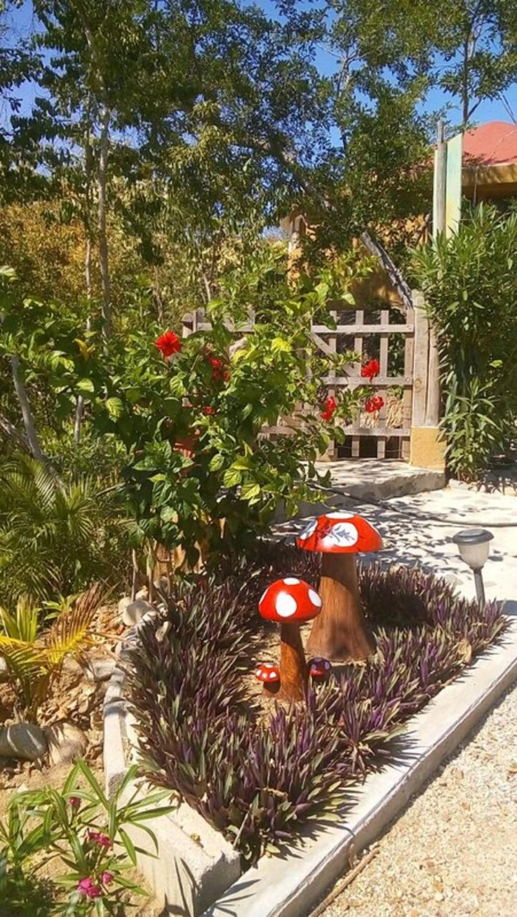 View (from property/room) in El Eden Bungalows