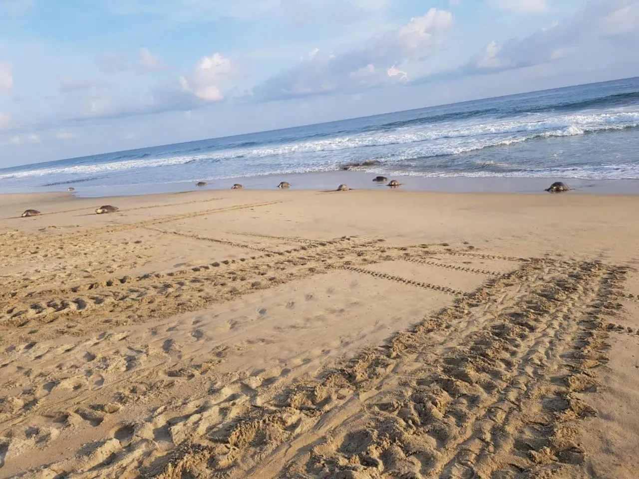 Nearby landmark in El Eden Bungalows