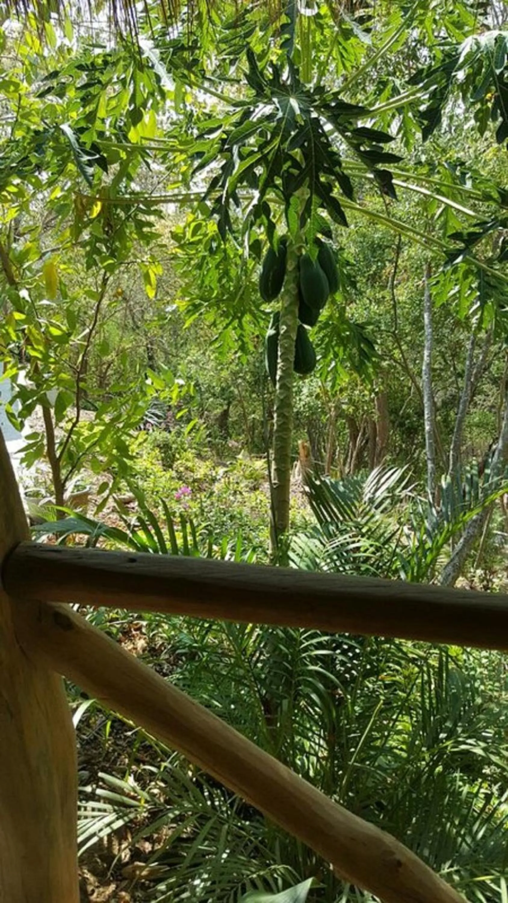 Mountain view in El Eden Bungalows