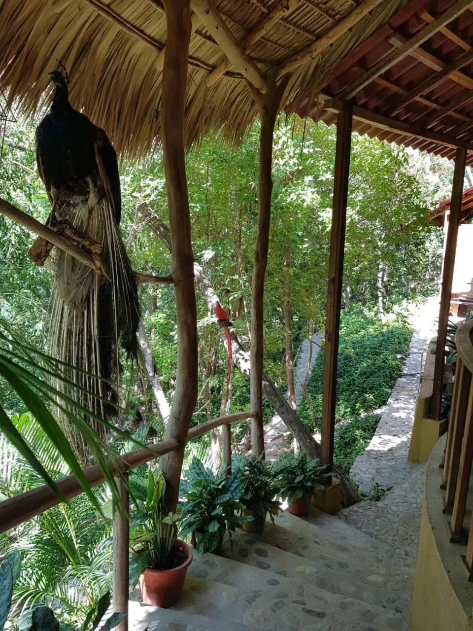 Lobby or reception in El Eden Bungalows