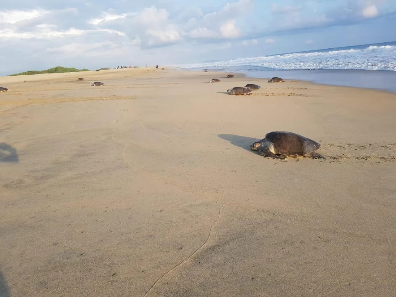 Nearby landmark in El Eden Bungalows