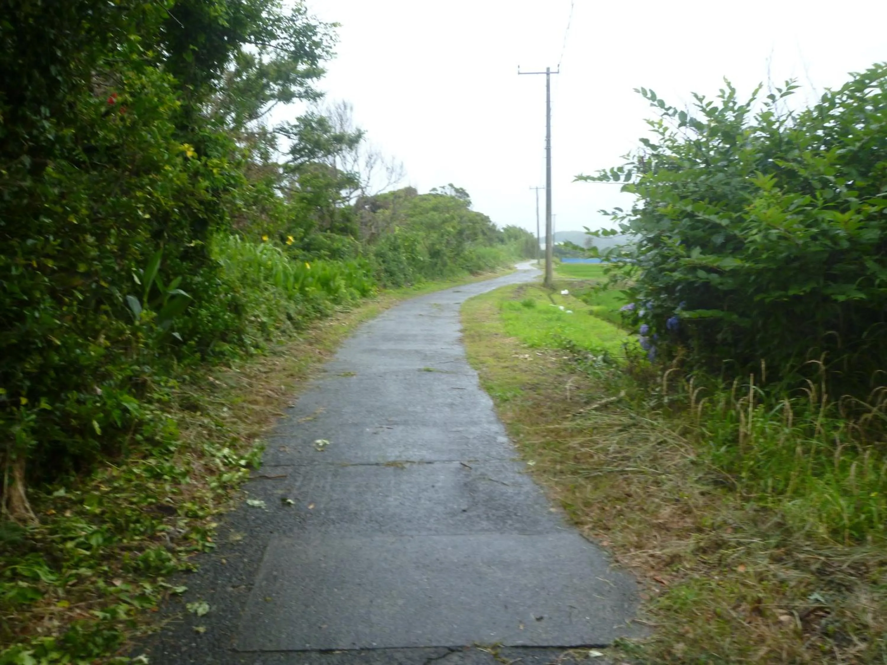 Neighbourhood in Pension Flora