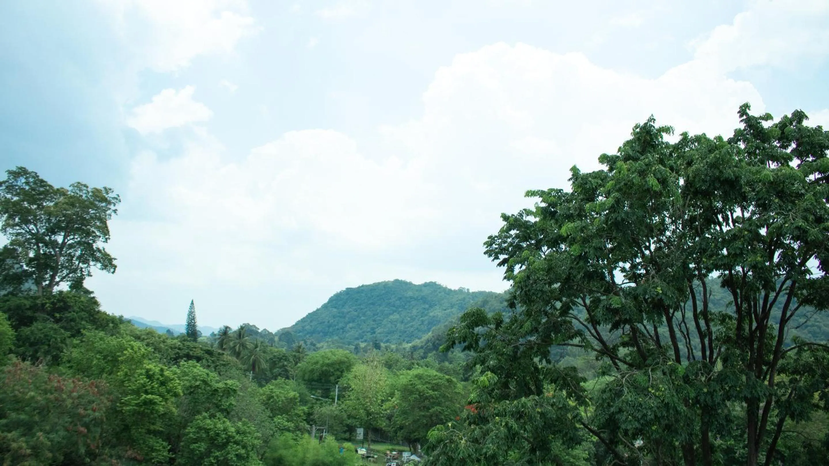 Mountain view in Fortune D Plus Hotel Khaoyai