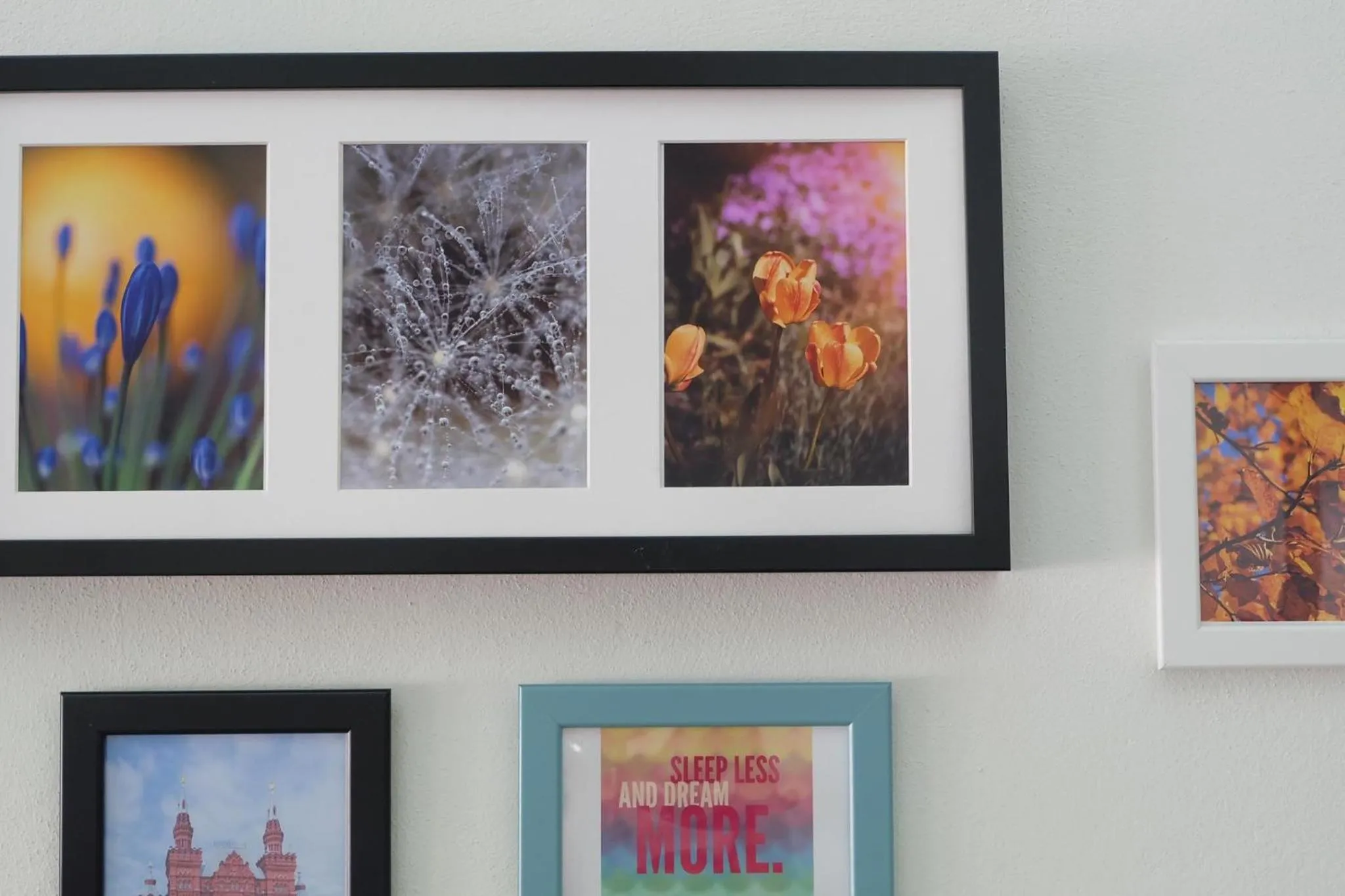 Certificate/Award in Rabbit Room