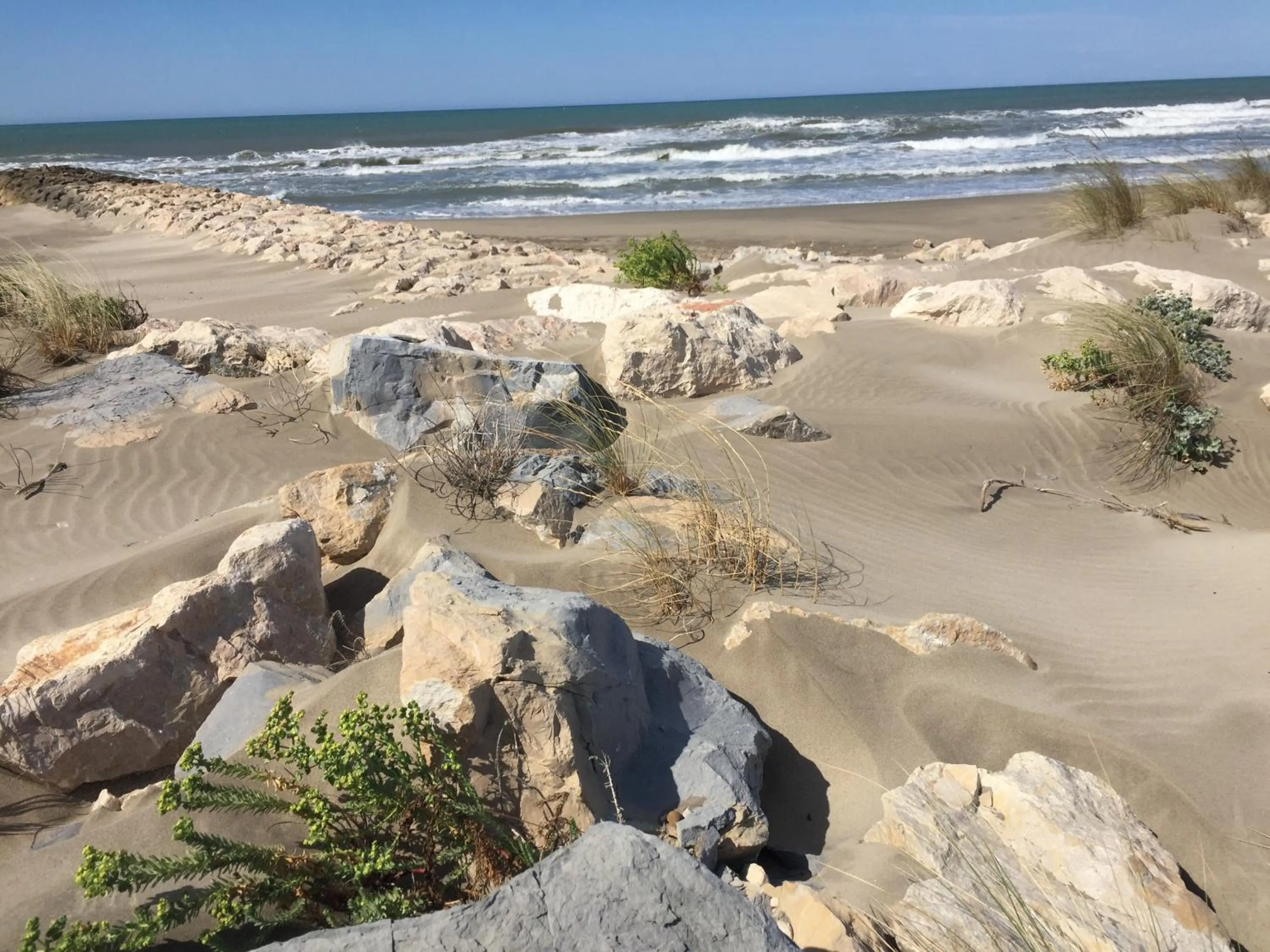 Beach in Maébrilu Camargue Provence