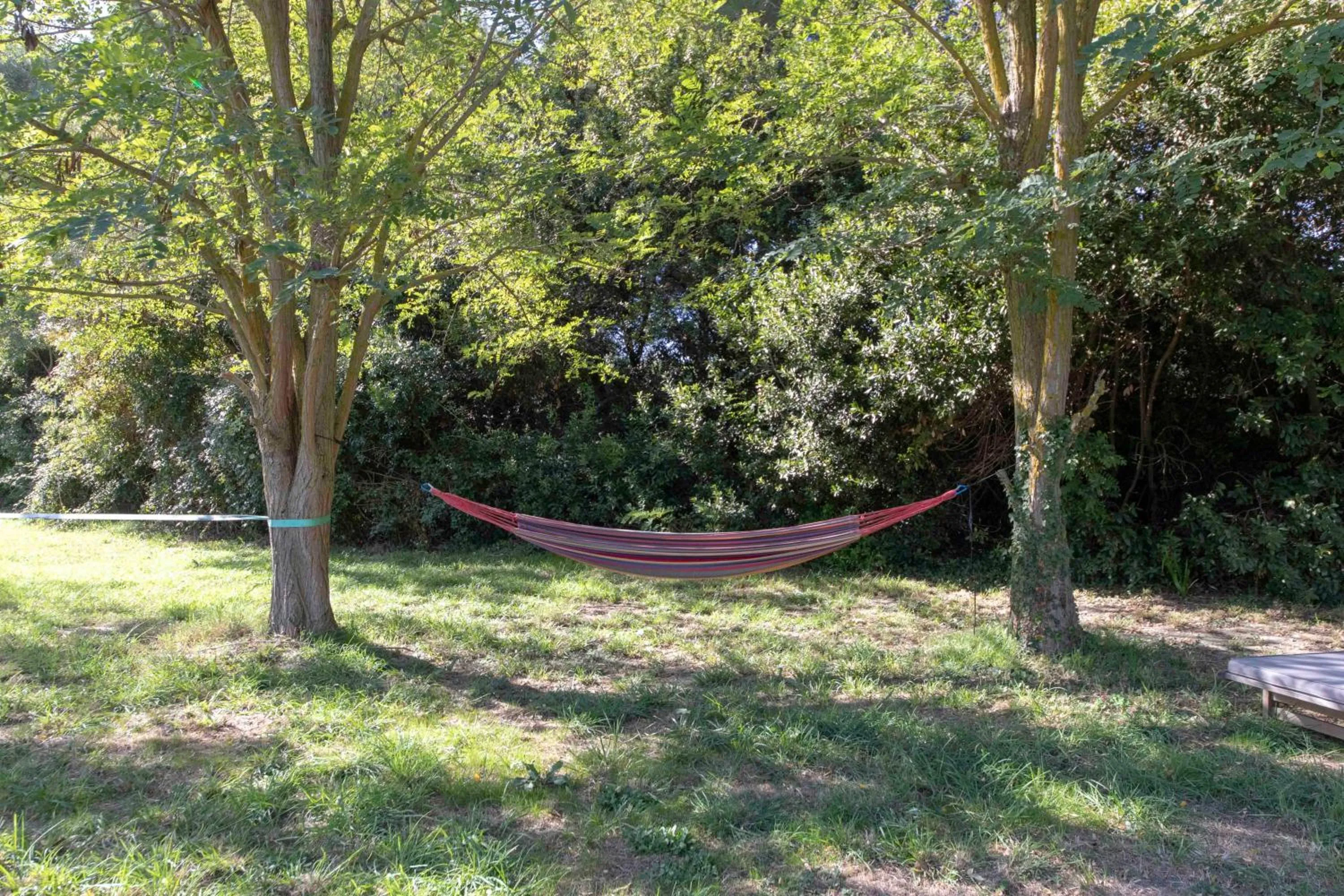 Garden in Maébrilu Camargue Provence