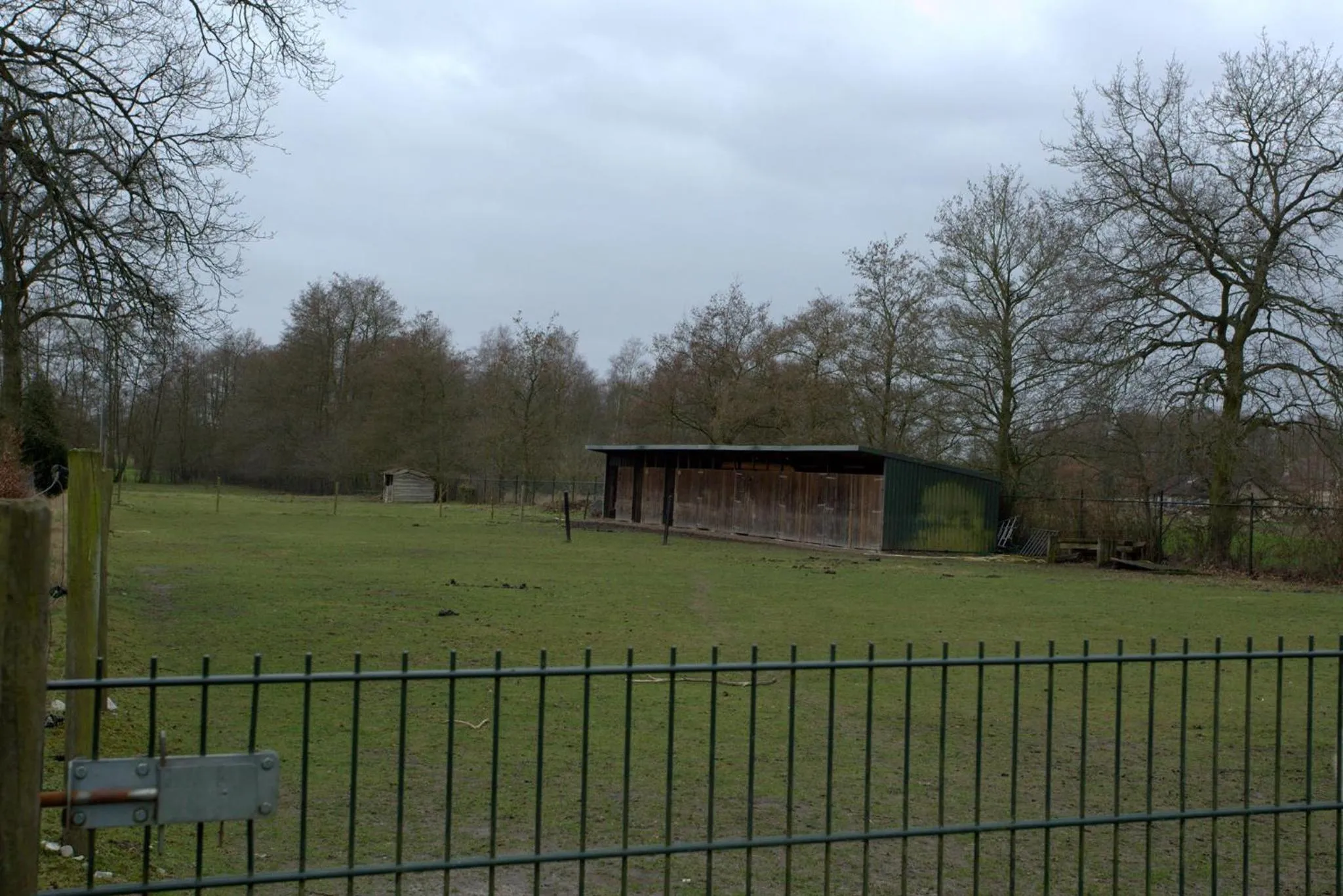Garden view in B&B Dream On Wheels