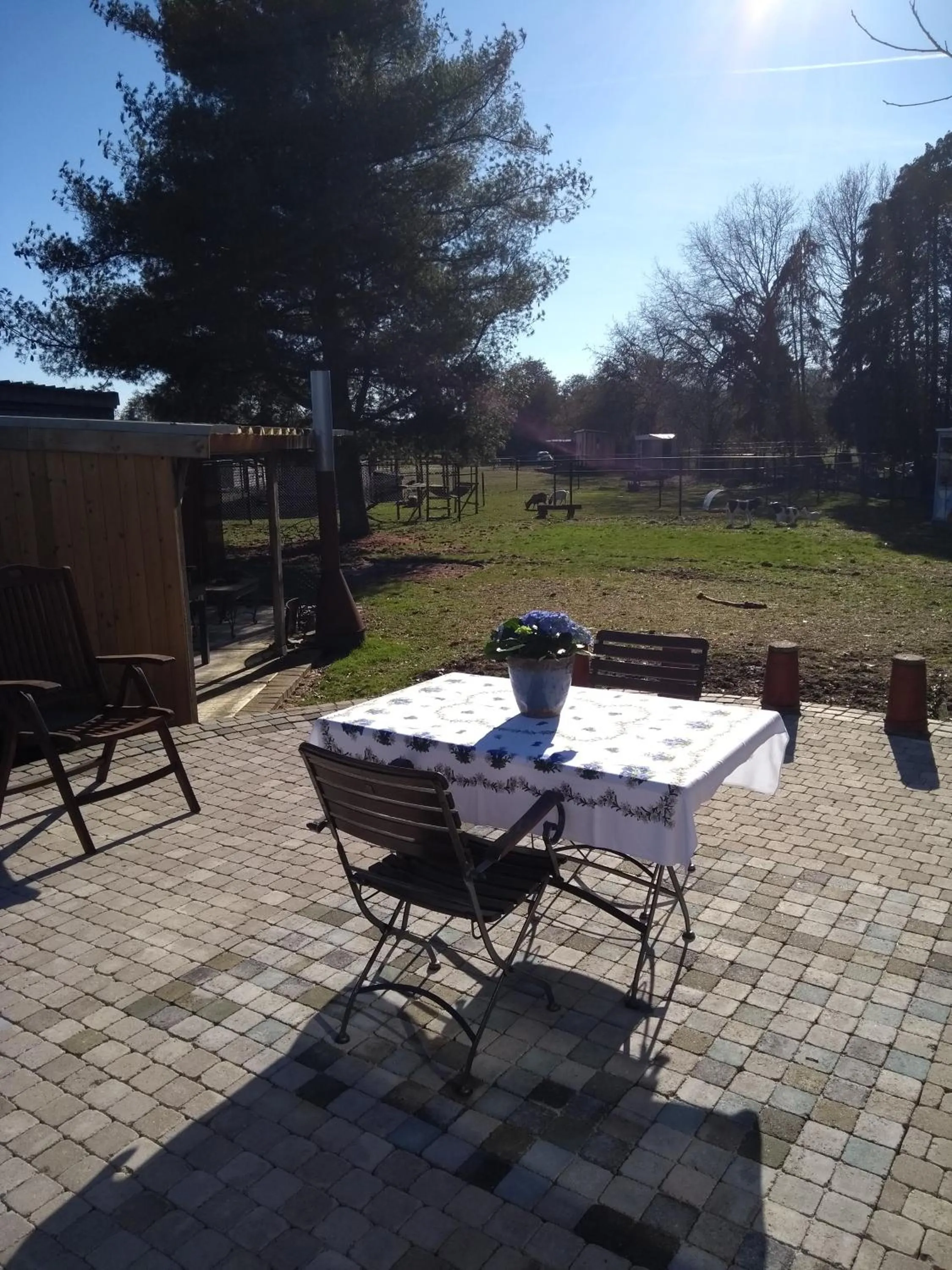 Dining area in B&B Dream On Wheels