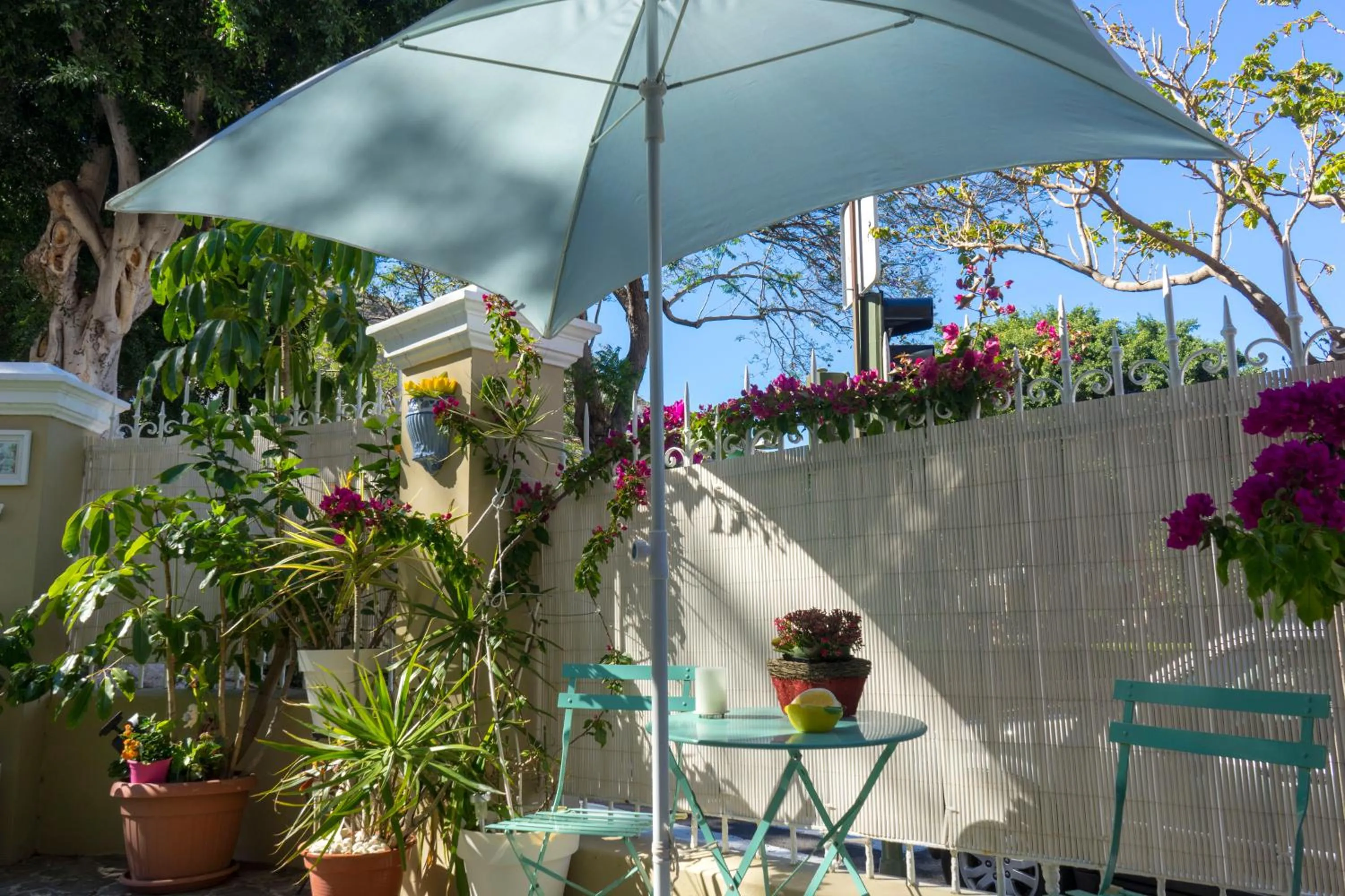 Garden in Casa Kilig