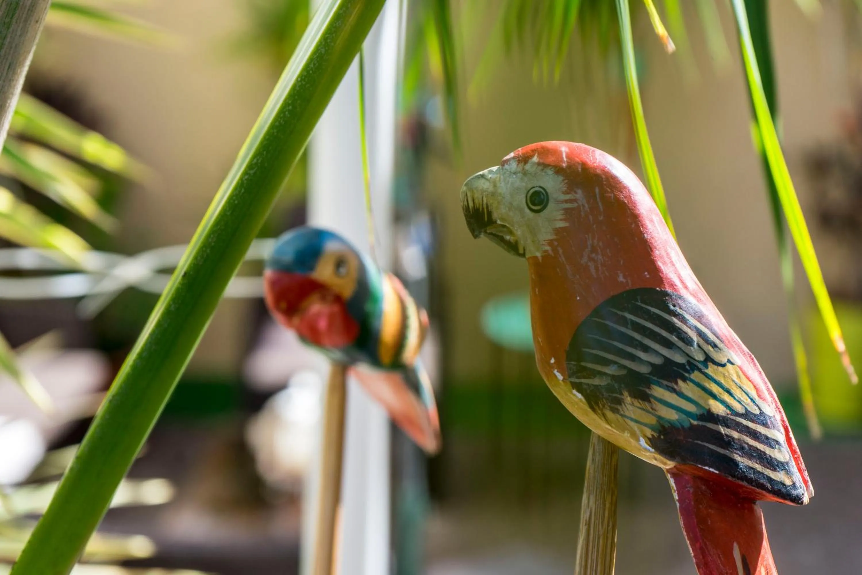 Area and facilities in Casa Kilig