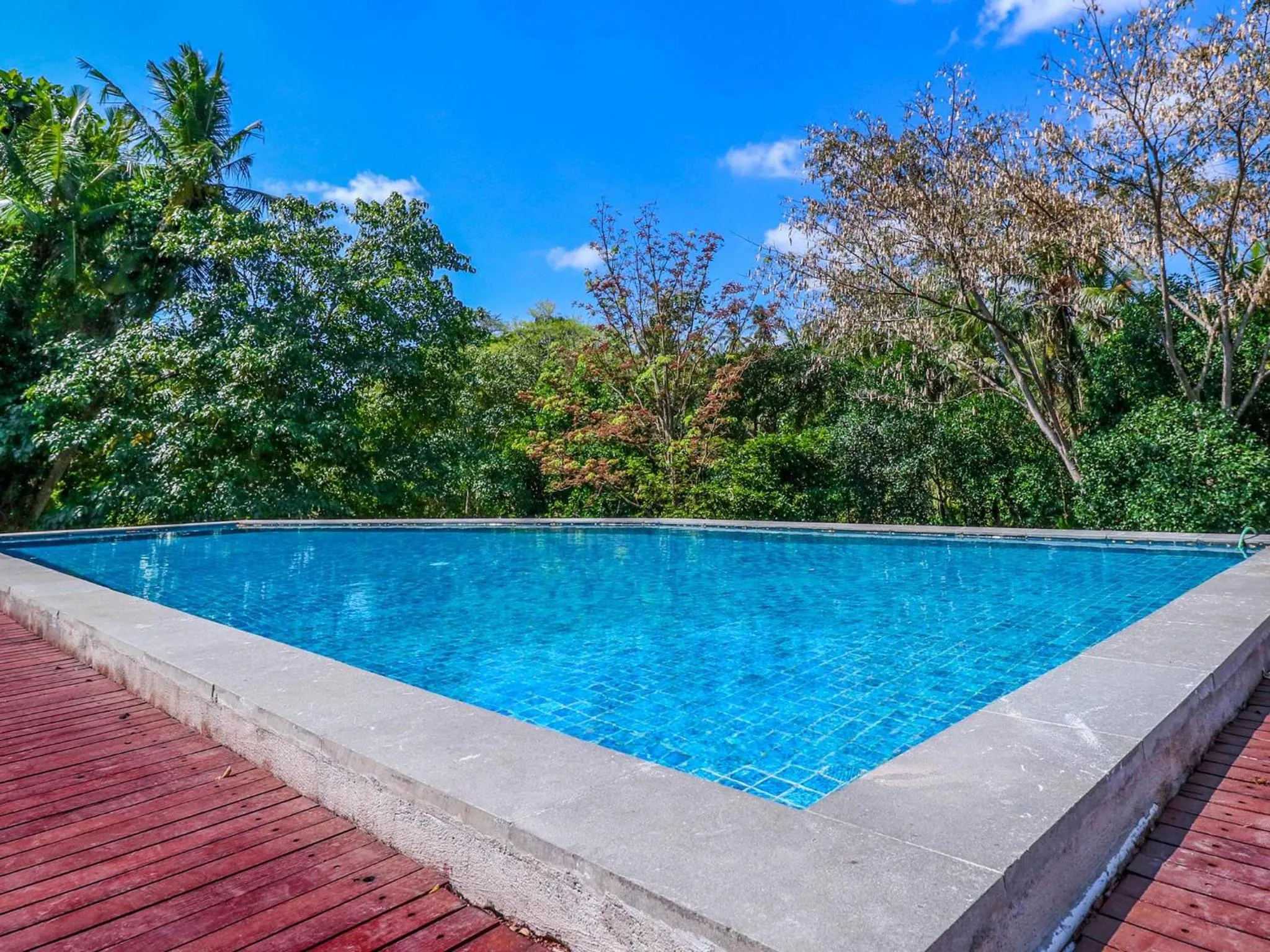 Swimming pool in Sekar Arum Riverside Resort in Canggu
