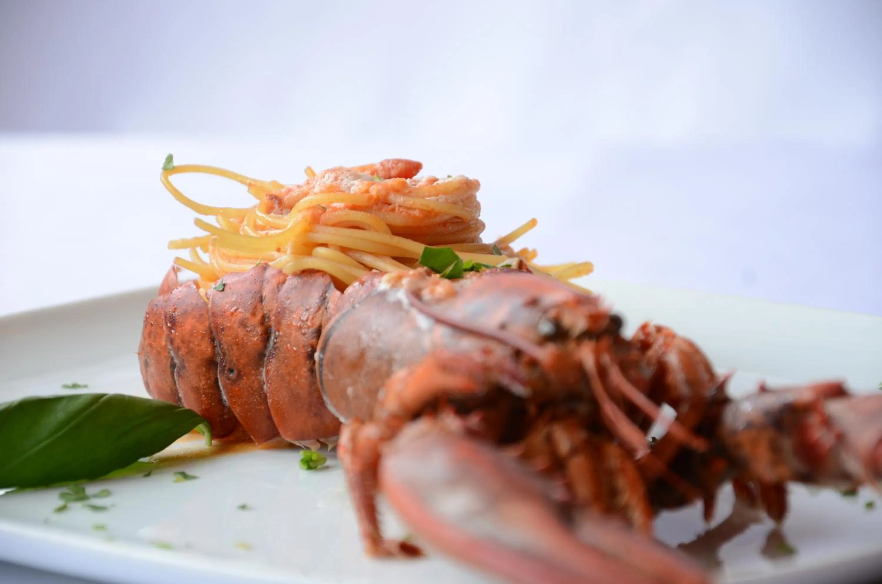 Food close-up in Hotel La Fenice