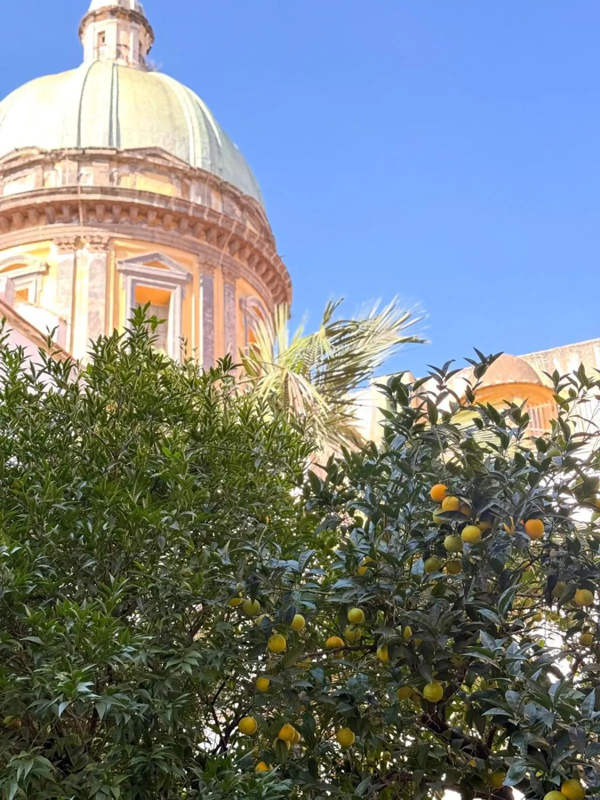 Balcony/Terrace in Chiaia Suites