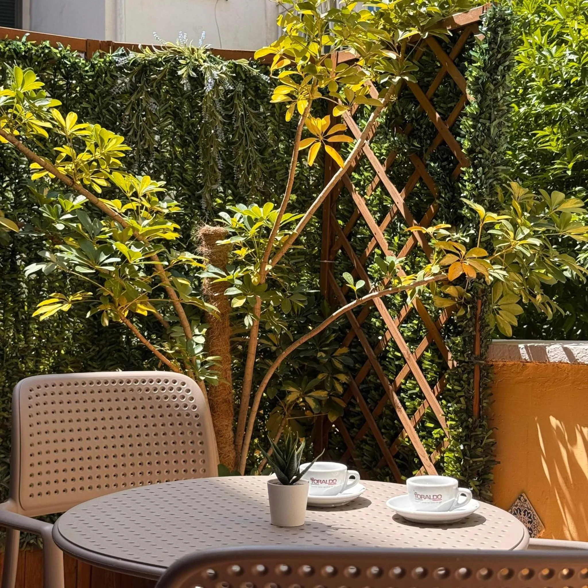 Balcony/Terrace in Chiaia Suites