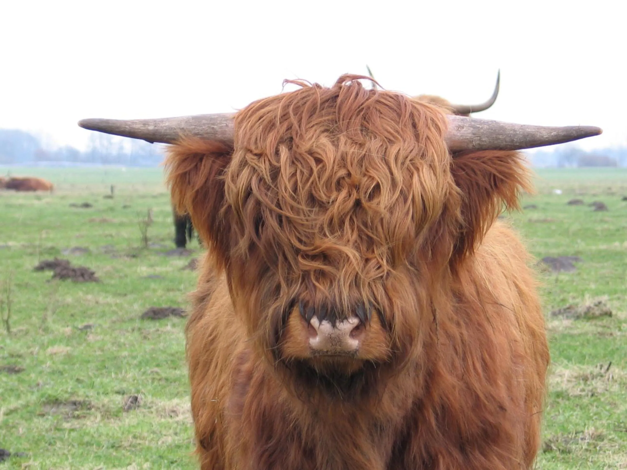 Day in B&B - Sauna D'Olle Pastorie