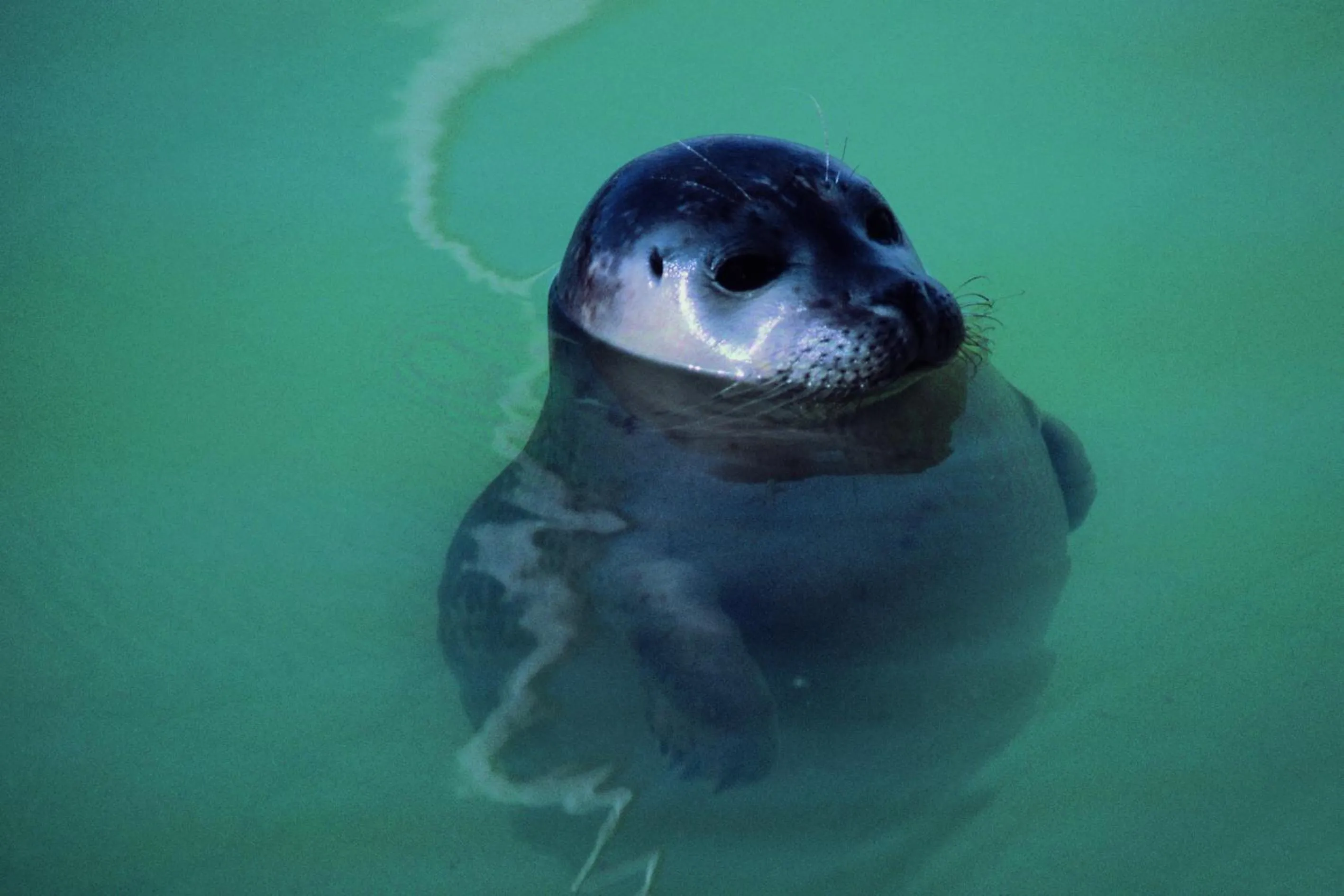 Nearby landmark in B&B - Sauna D'Olle Pastorie
