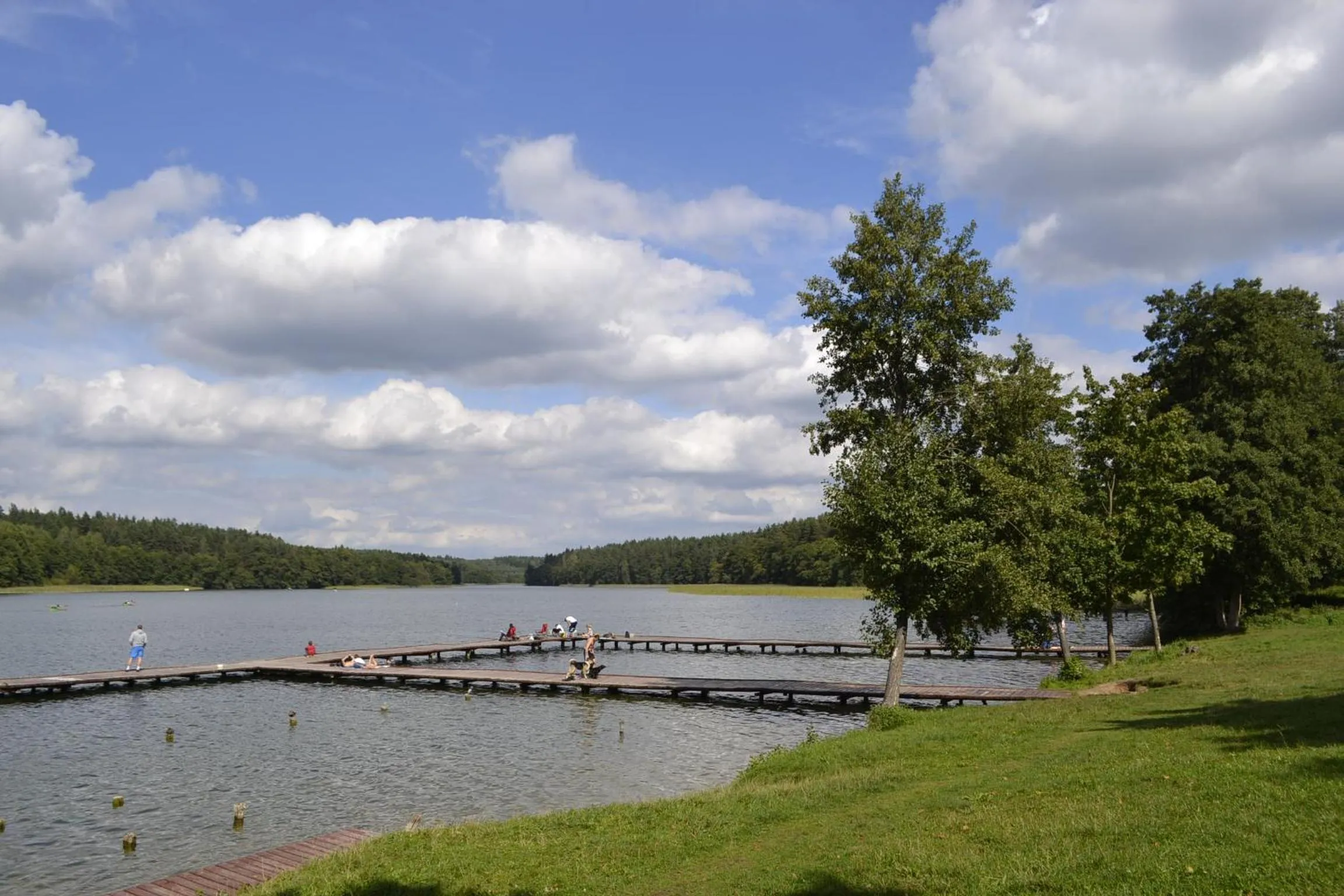Natural landscape in Willa Mycyny oraz domki