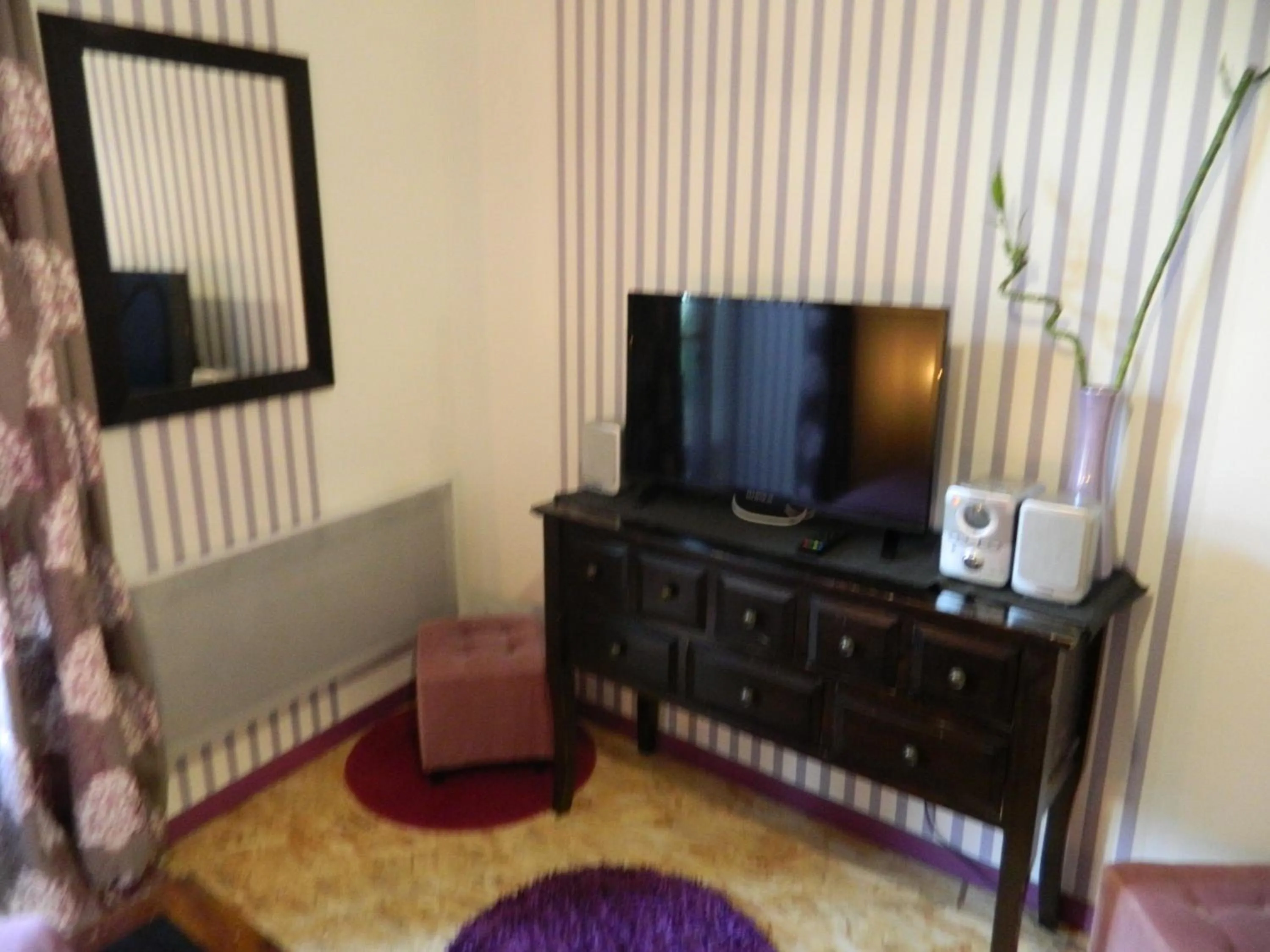 TV and multimedia in Chambres d'hôtes La Fougereuse