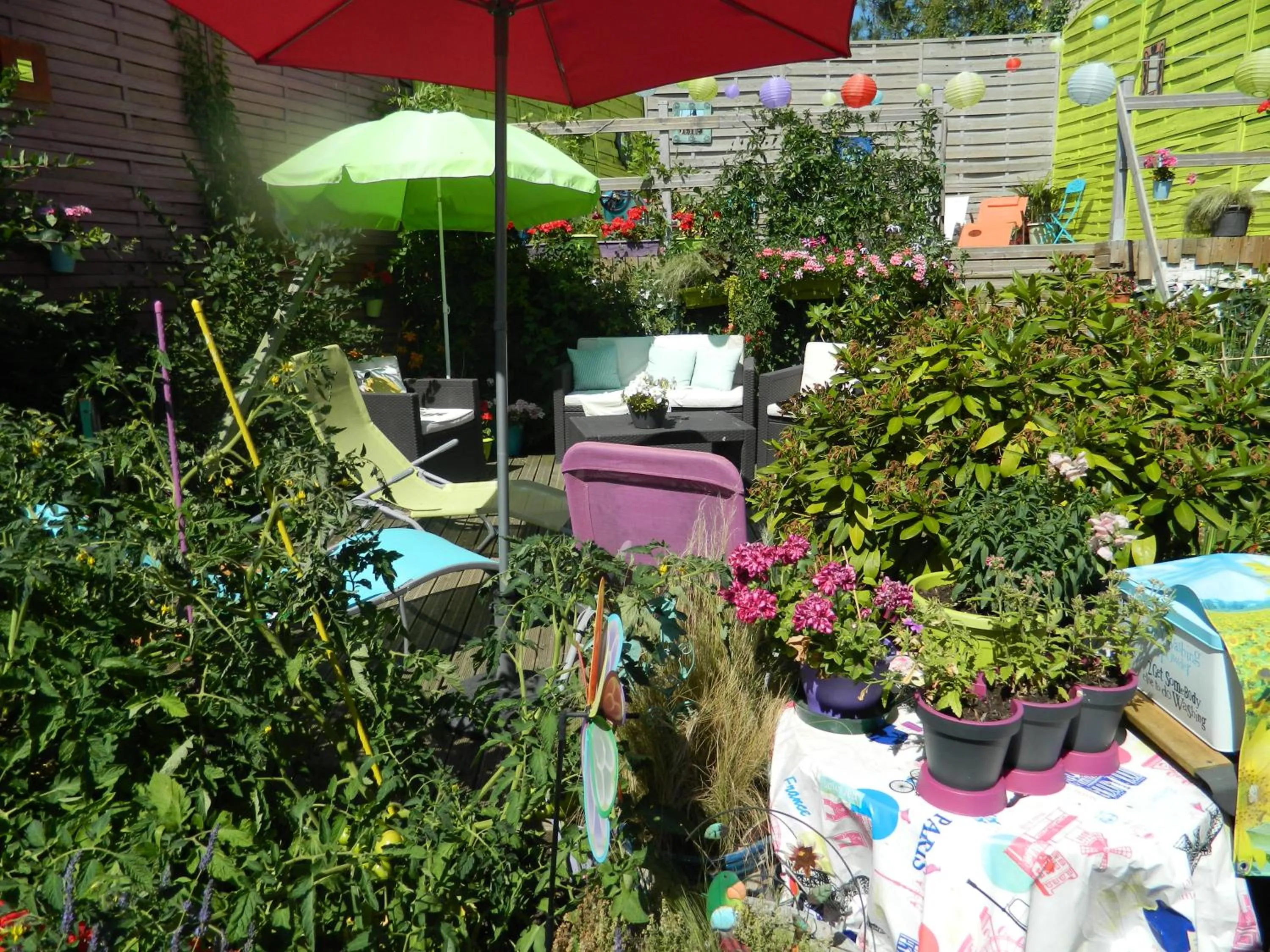 Garden in Chambres d'hôtes La Fougereuse