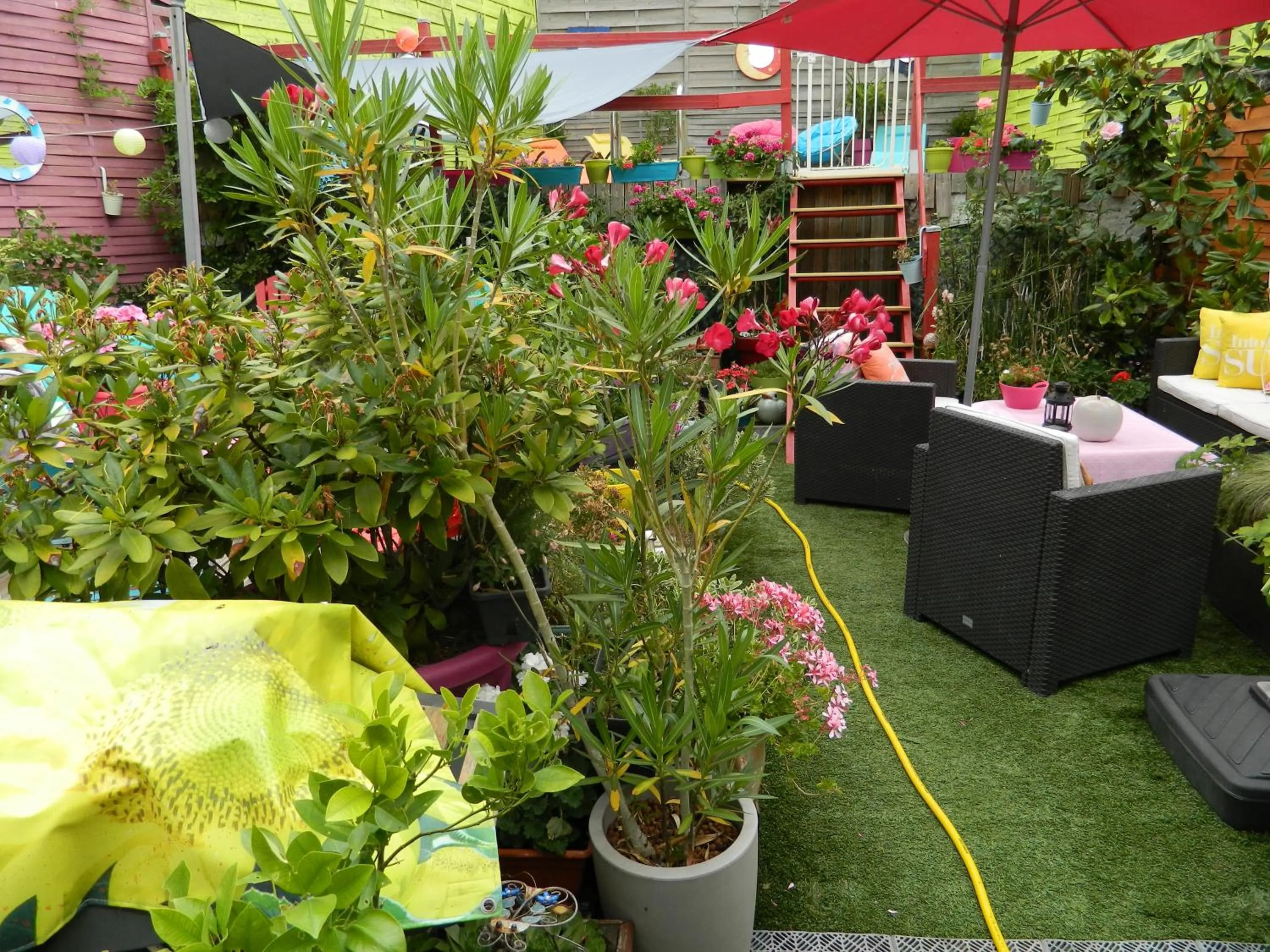 Garden in Chambres d'hôtes La Fougereuse