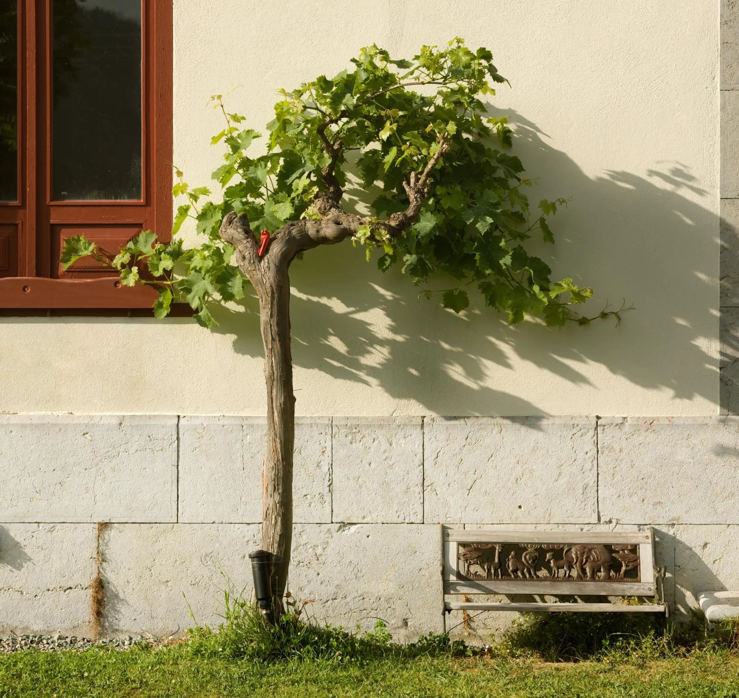 Day in Hotel Villa Itsaso