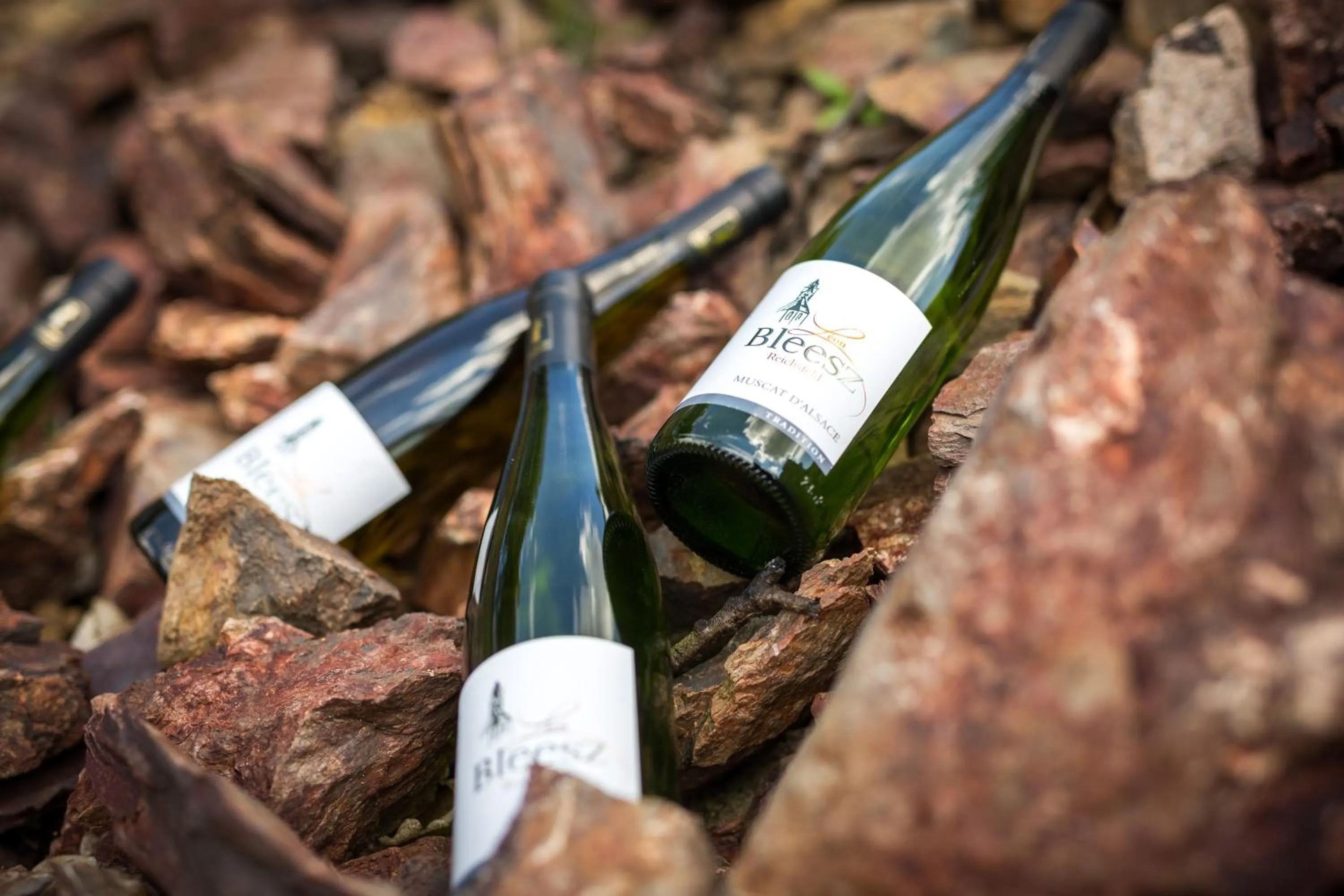 Alcoholic drinks in Chambre du Vigneron - Domaine Léon BLEESZ