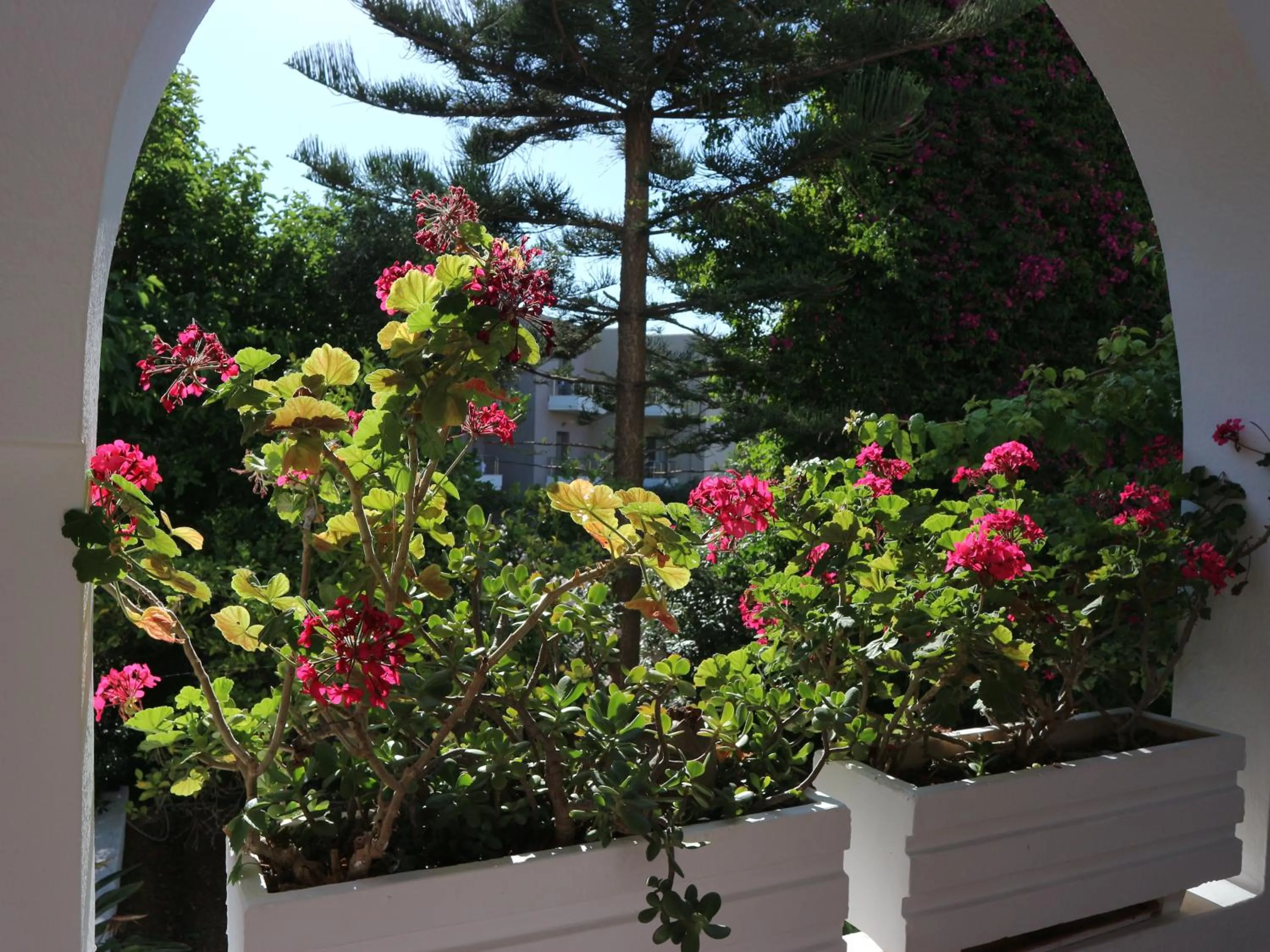 Garden in Oliaria Apartments