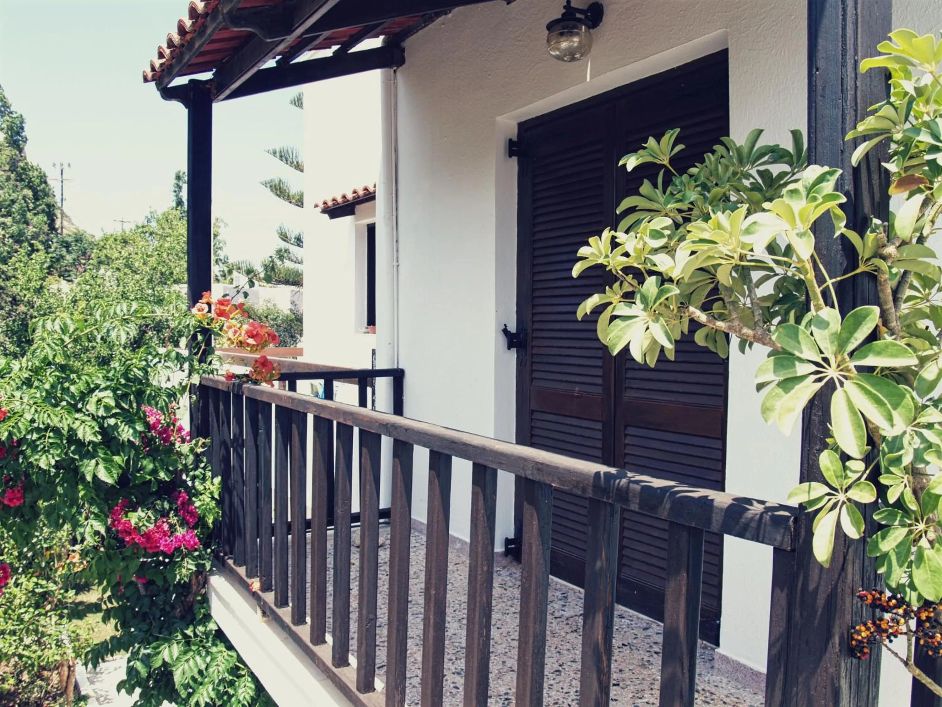 Property building in Oliaria Apartments