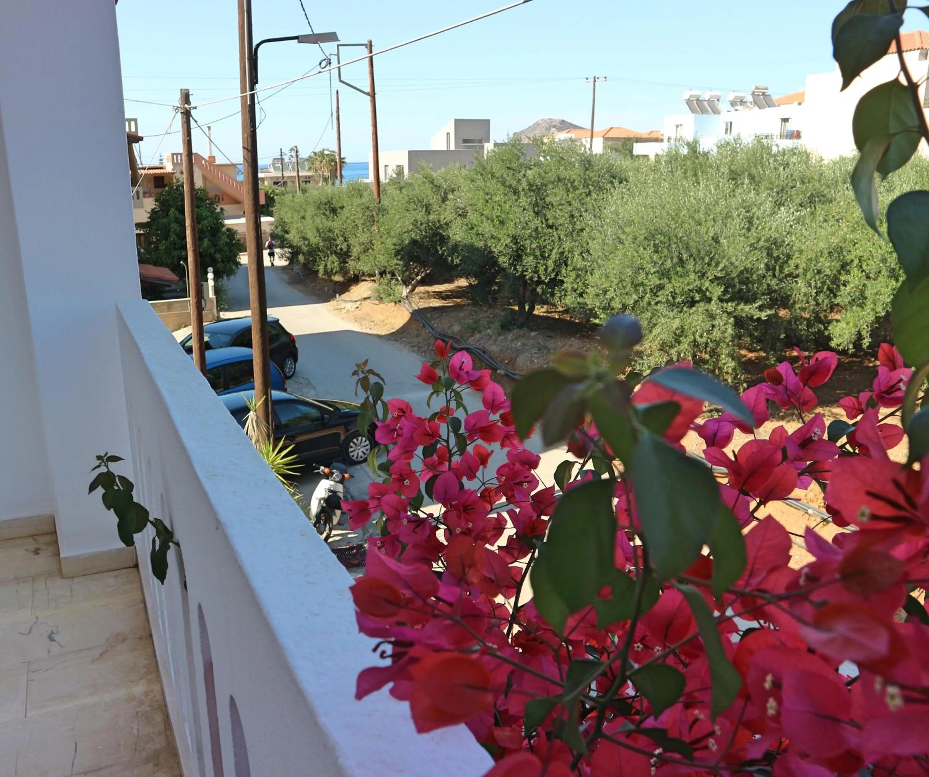 Balcony/Terrace in Oliaria Apartments
