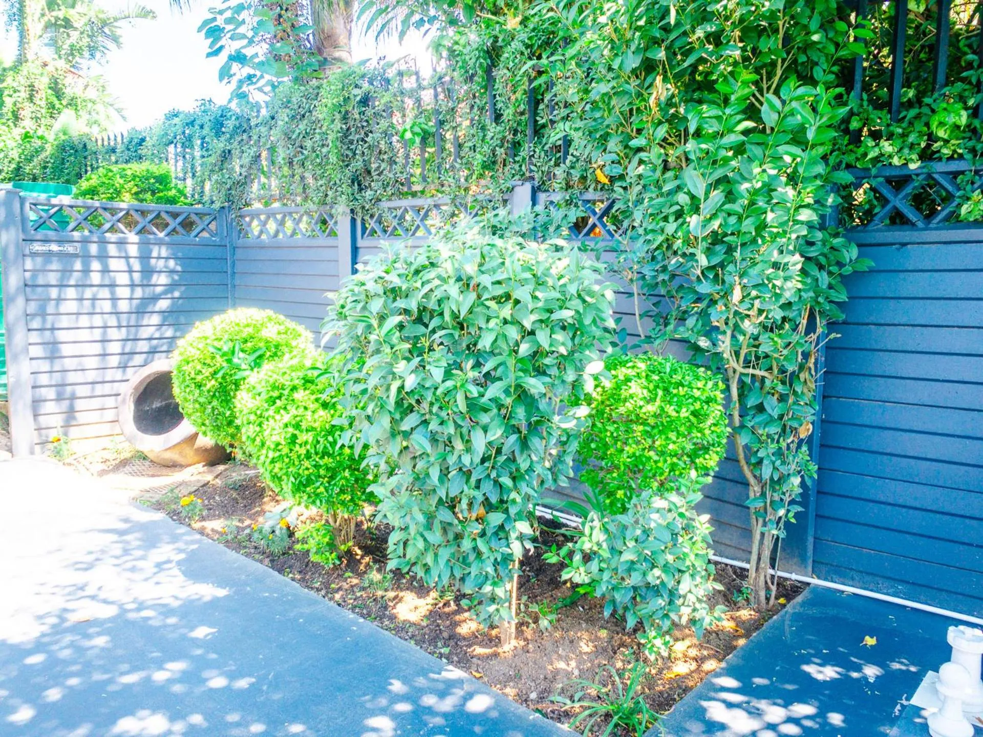 Garden in New England Guest House by Ilawu