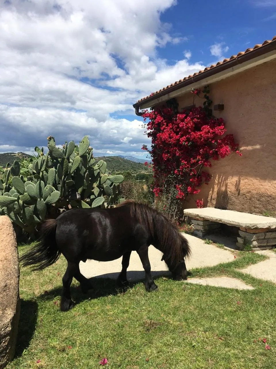 Garden in Hotel Glamping Borgo di Campagna