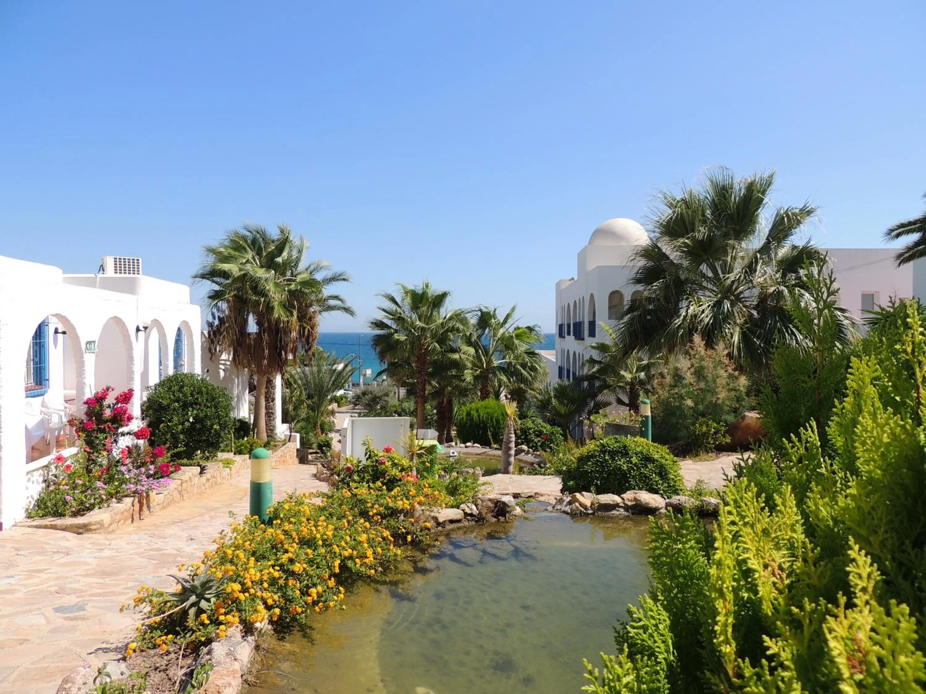 Garden view in Hotel Puntazo II