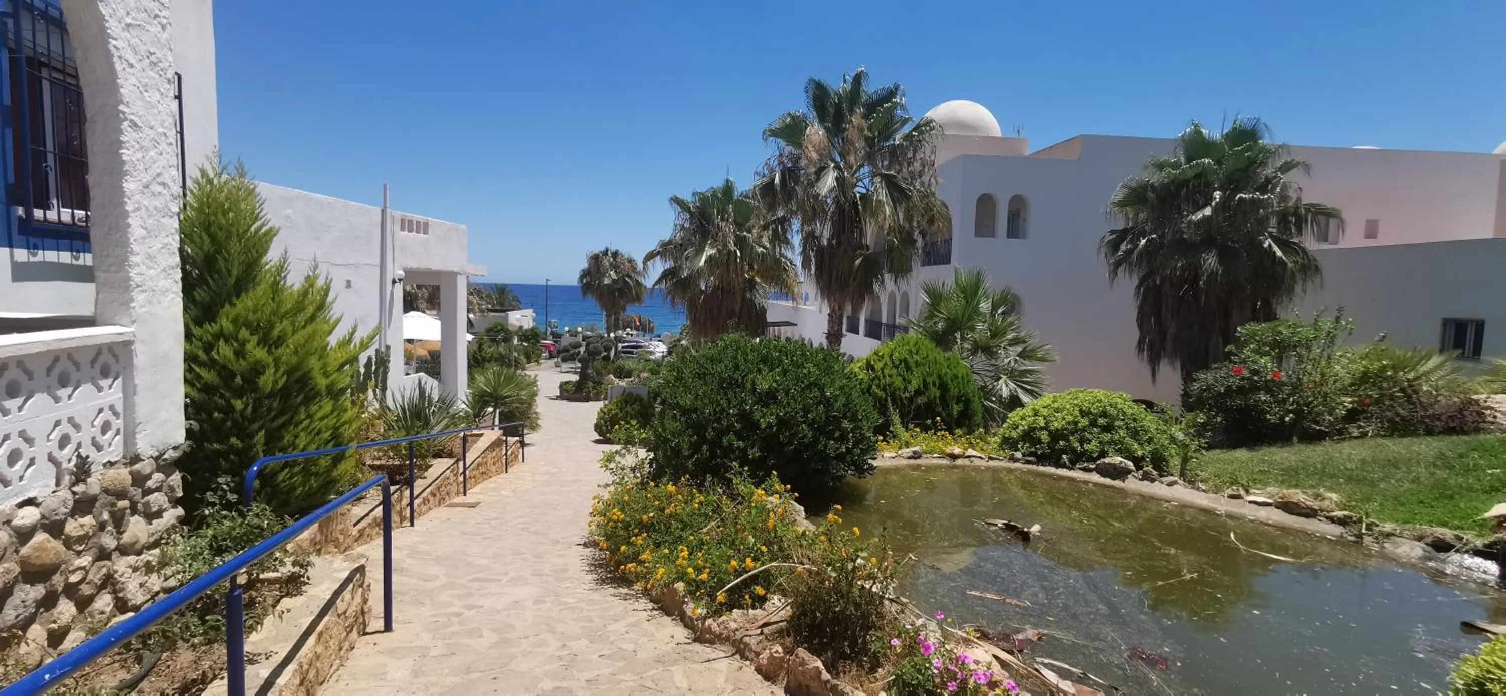Garden in Hotel Puntazo II